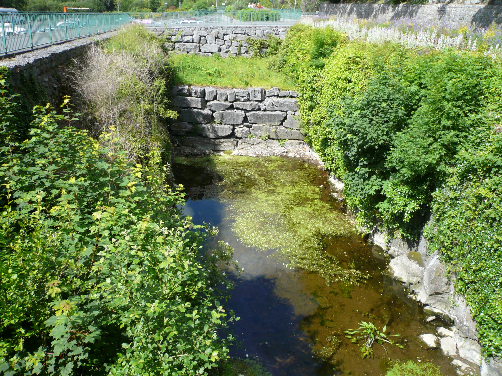 2015 07 Lough Corrib Cong Dry Canal