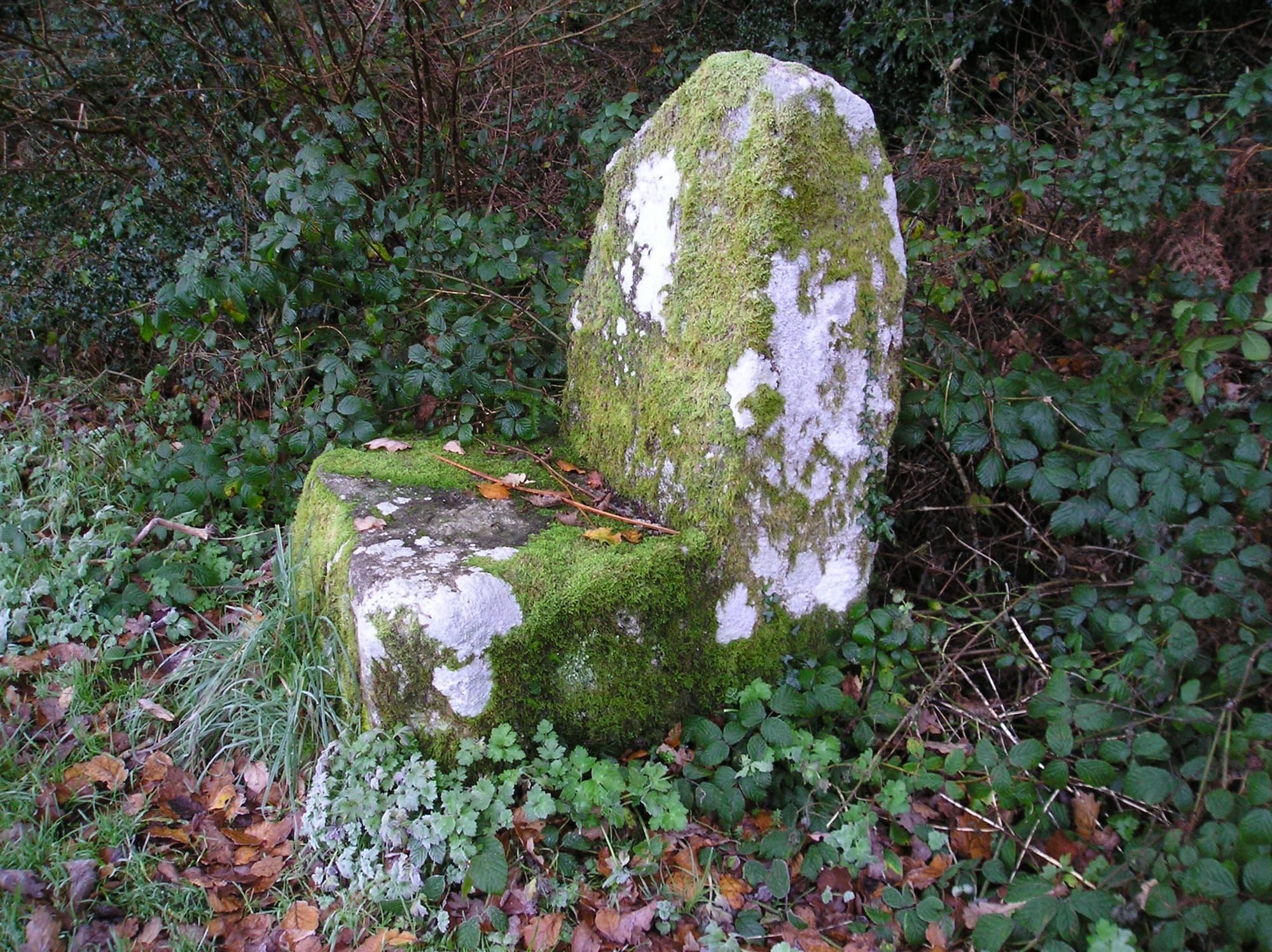 2008 01 River Barrow Graiguenamanagh Highwaymans Seat
