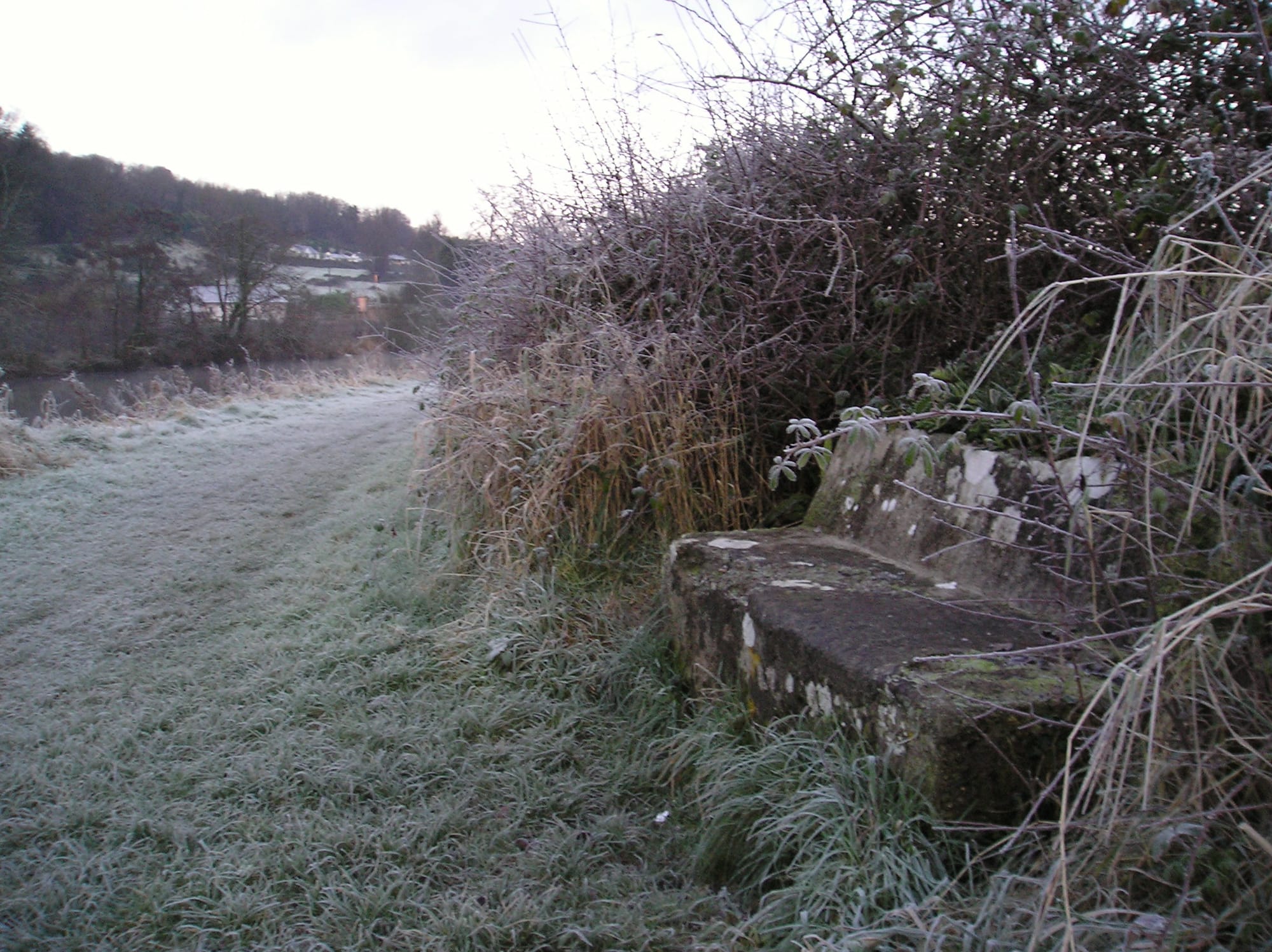 2008 01 River Barrow Graiguenamanagh Barrow Seat