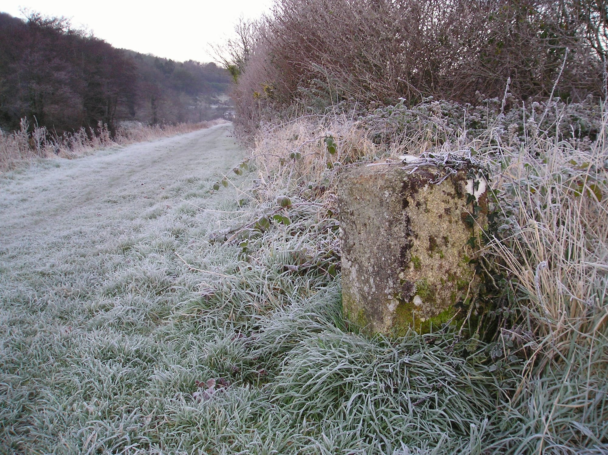 2008 01 River Barrow, St Mullins, Milestone