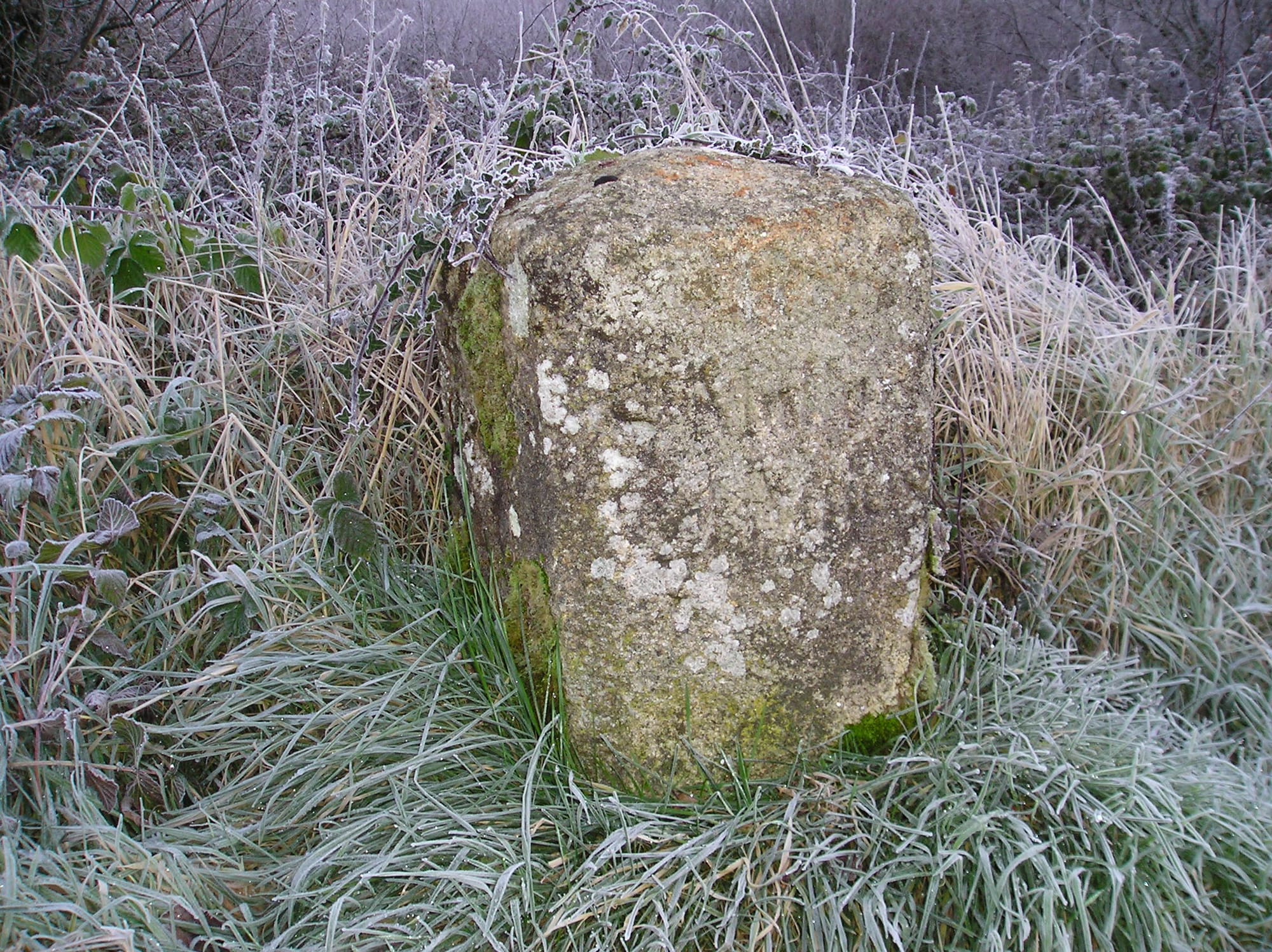2008 01 River Barrow, St Mullins, Milestone