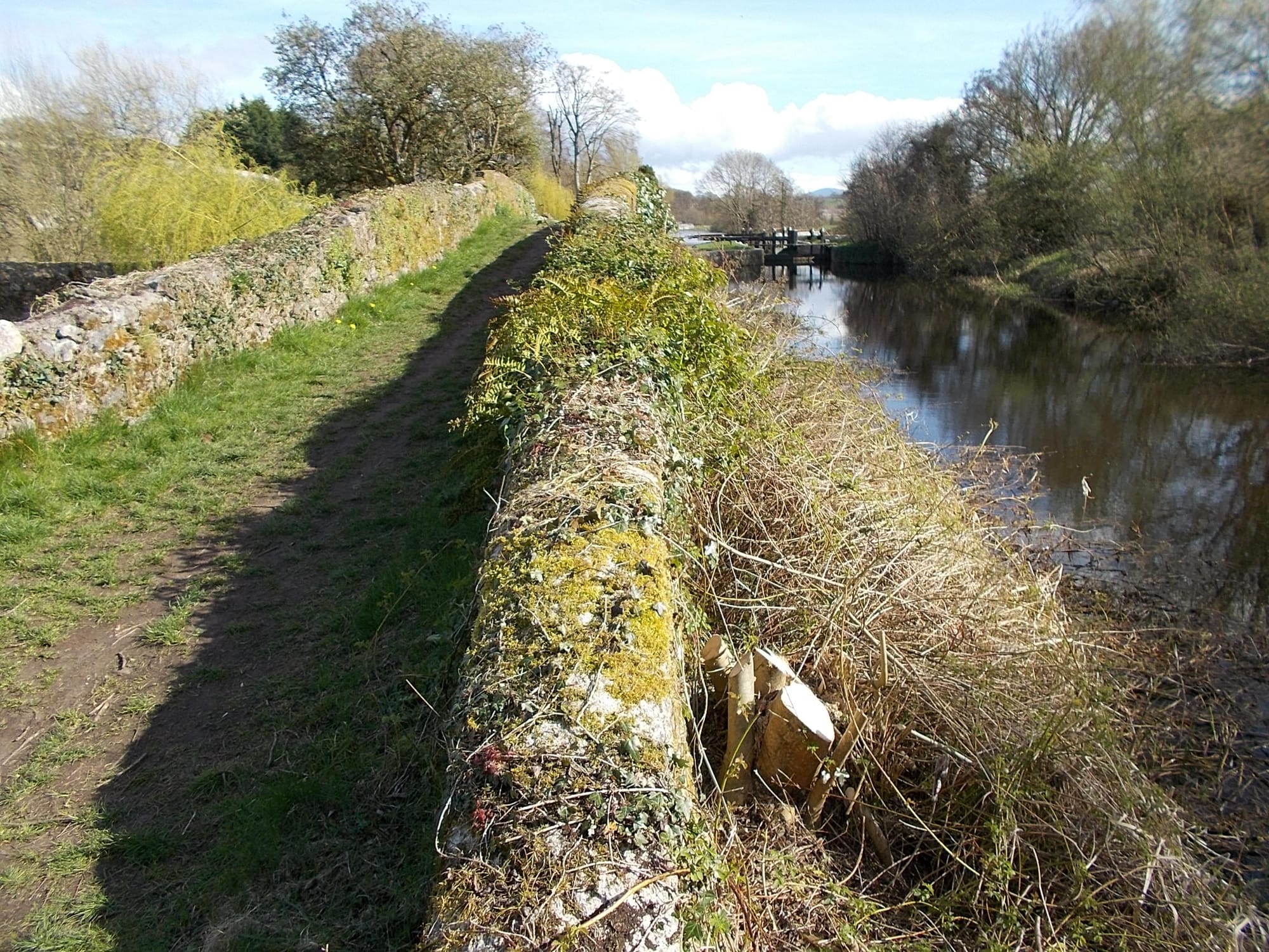 2015 04 River Barrow Bagnelstown, Rathellen Lock, rise above former dry dock entrance