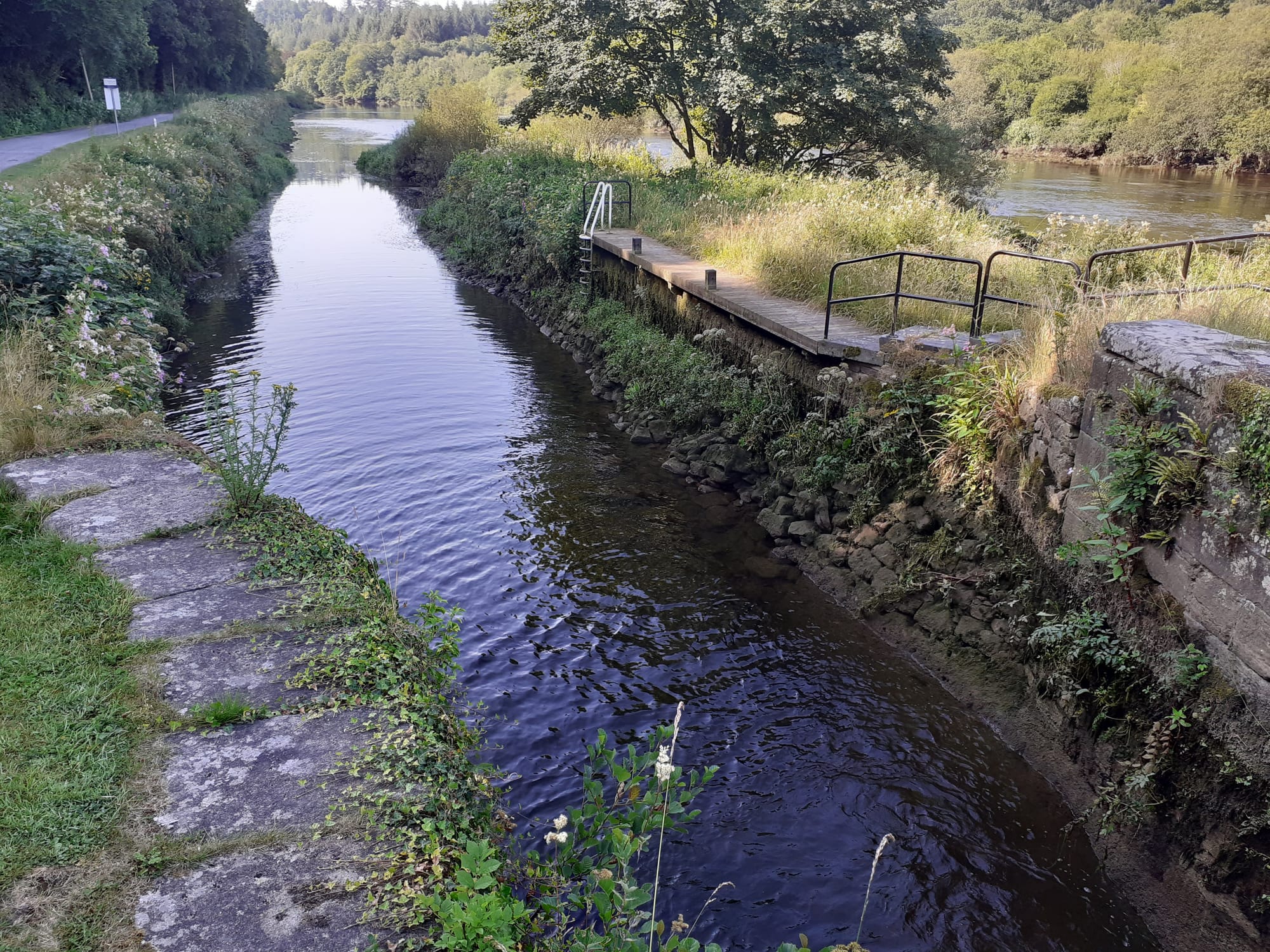 2021 07 River Barrow St Mullins, sea lock steps at low tide