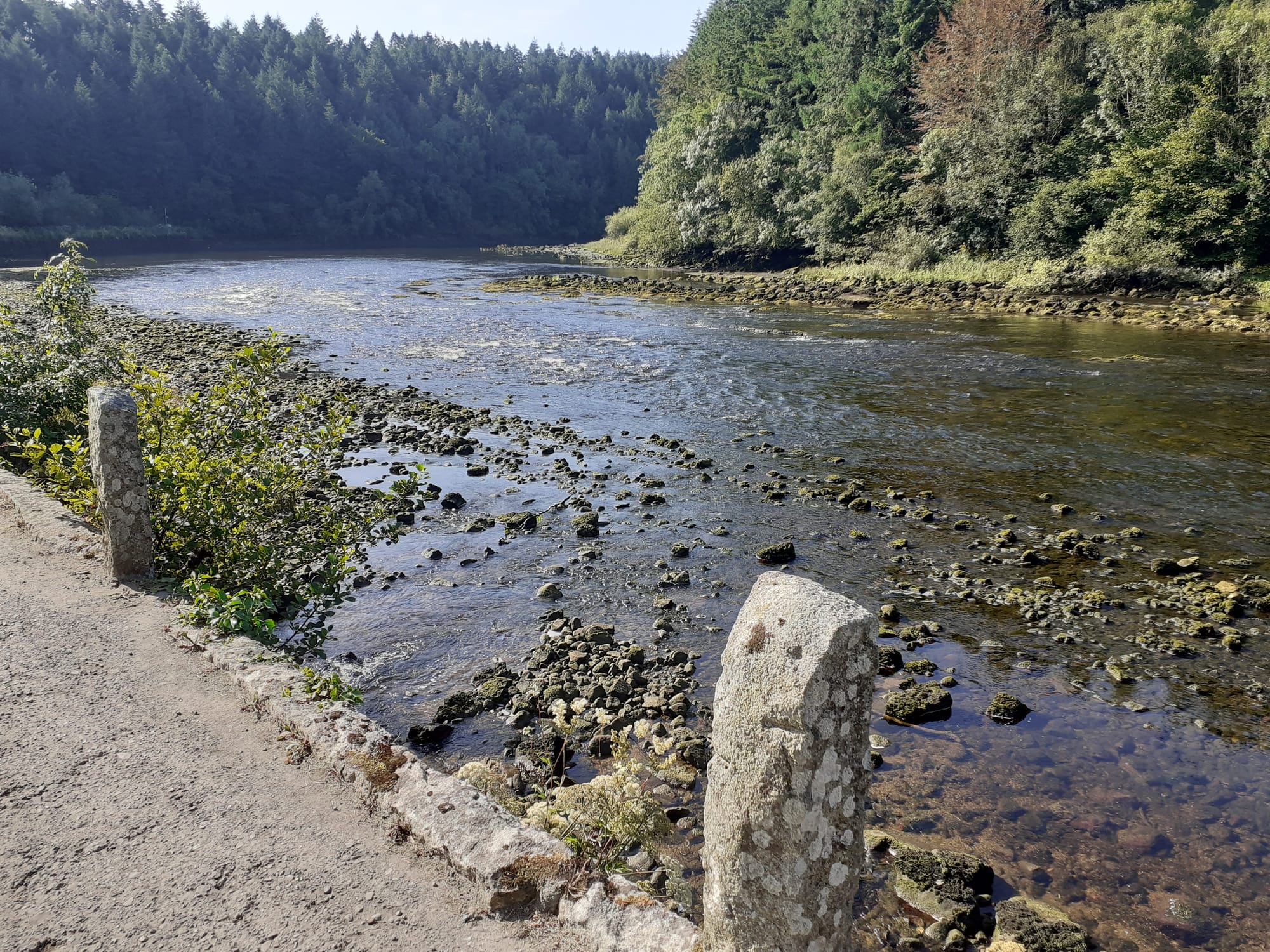 2021 07 River Barrow St Mullins, the Scar, dries at low tide