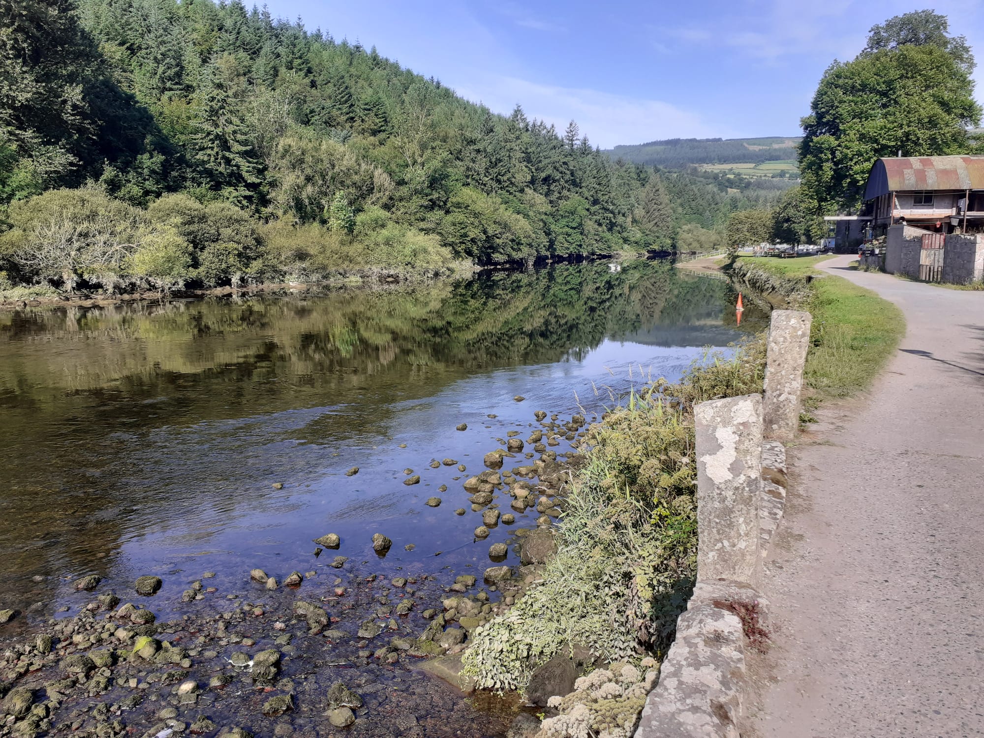2021 07 River Barrow St Mullins, looking upriver, trackway, trackline, towpath