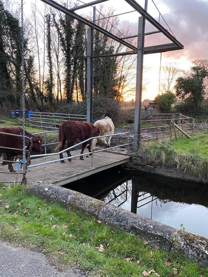 2022 02 River Barrow Athy Adreigh Island in use, photo by Charlie Mackey