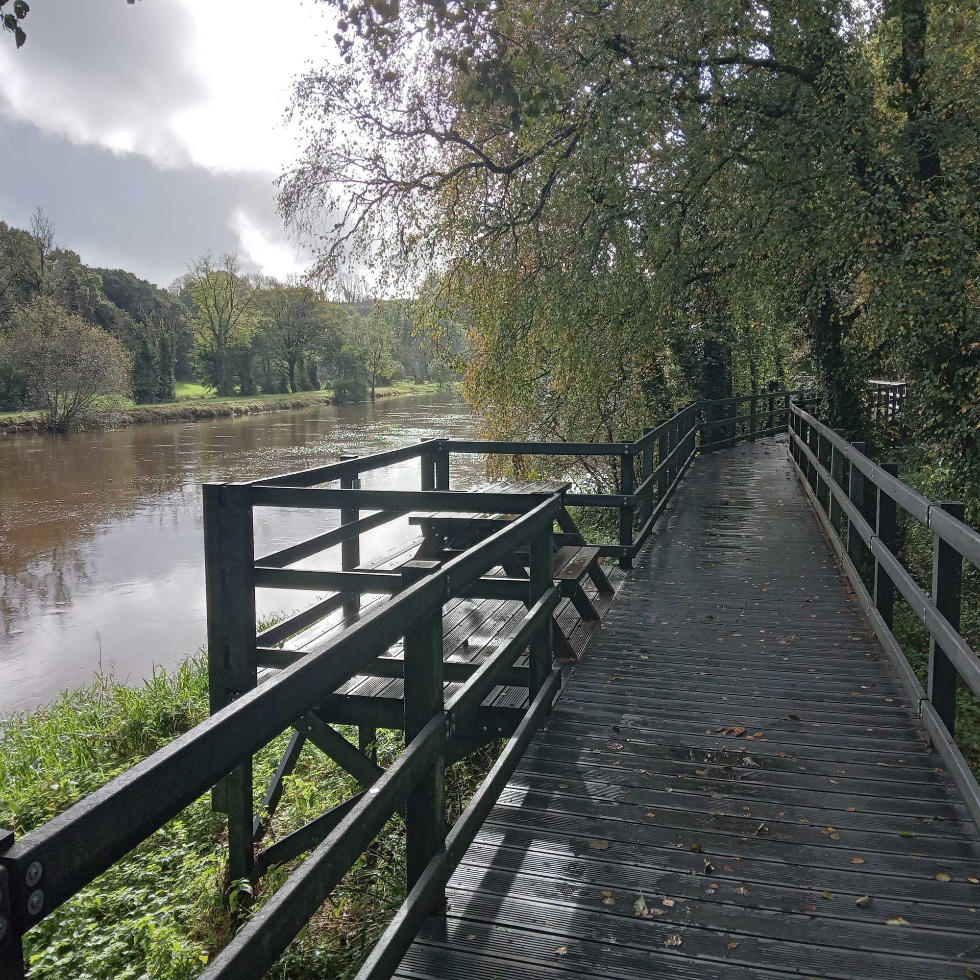 2023 10 19th River Barrow Graiguenamanagh Silaire Wood Riverside Walk