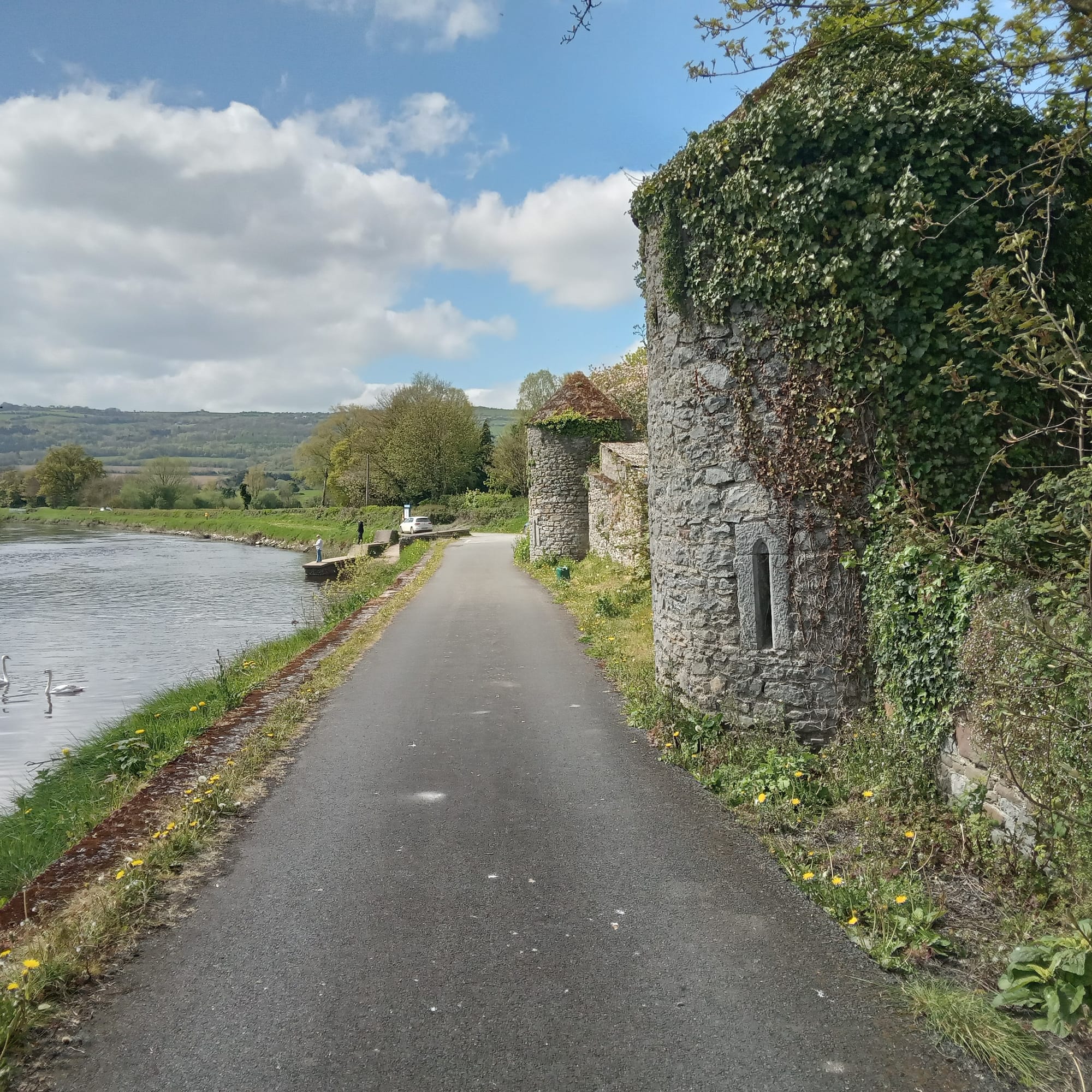 2024 04 24th River Barrow Clogrennan Lock heritage remains