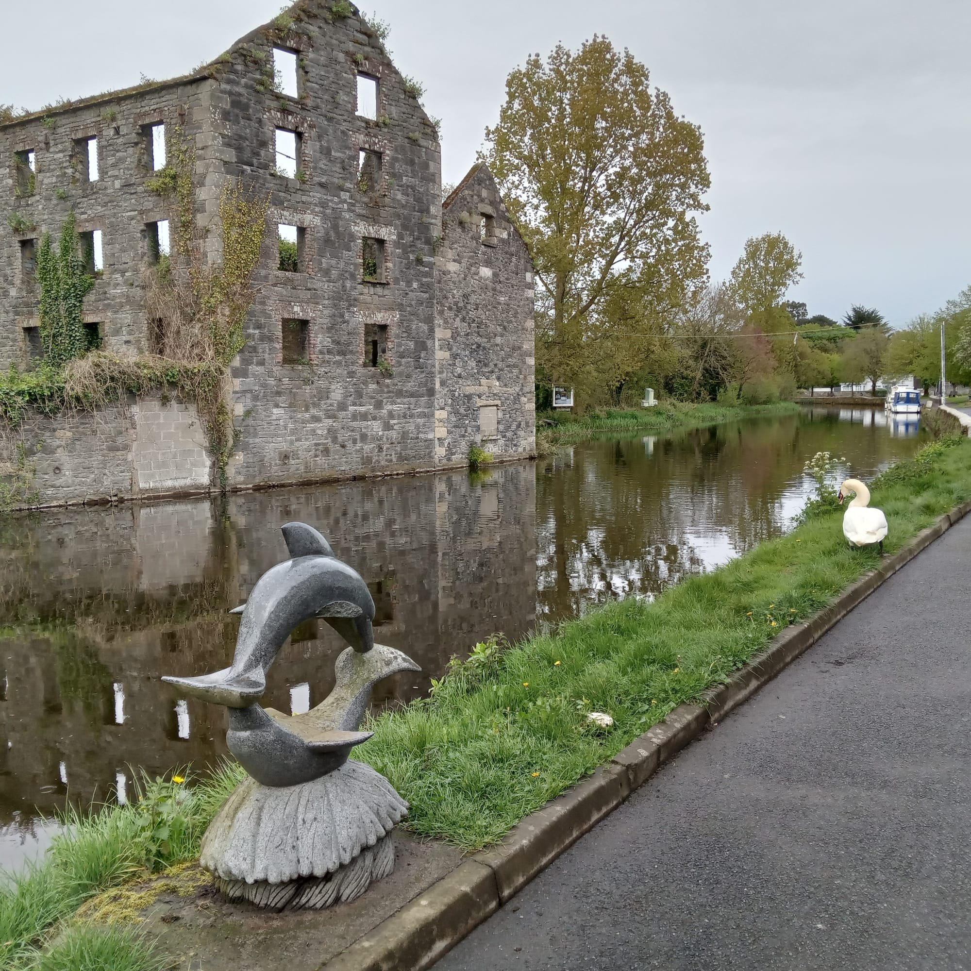 2024 04 25th River Barrow Bagnelstown, Rudkins mill built in 1690