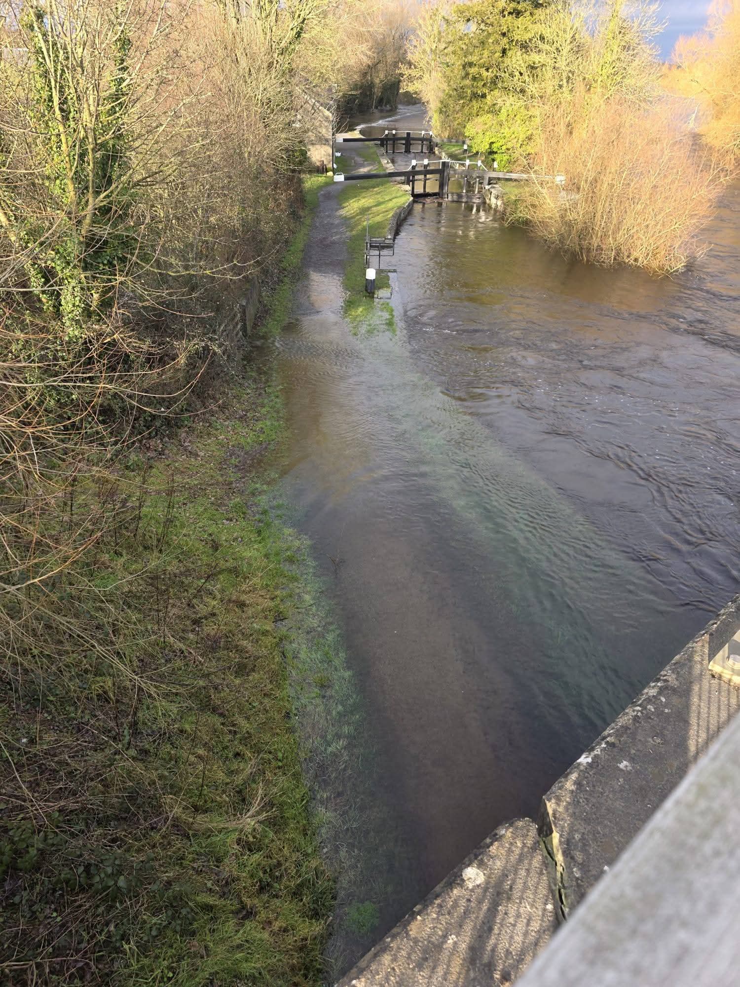 2026 02 River Barrow Rathvindon lock flooded