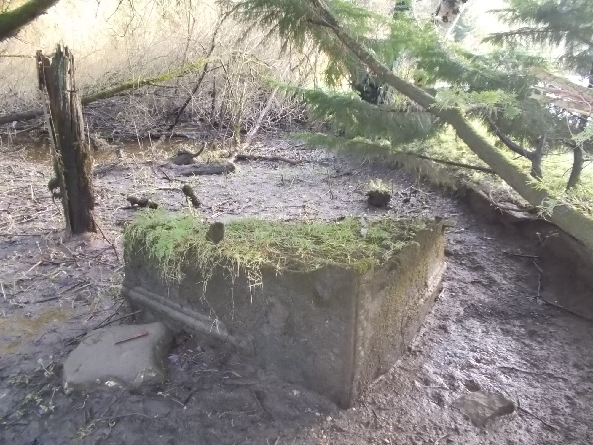 2016 05 11th River Barrow Saint Mullins buried barge bow