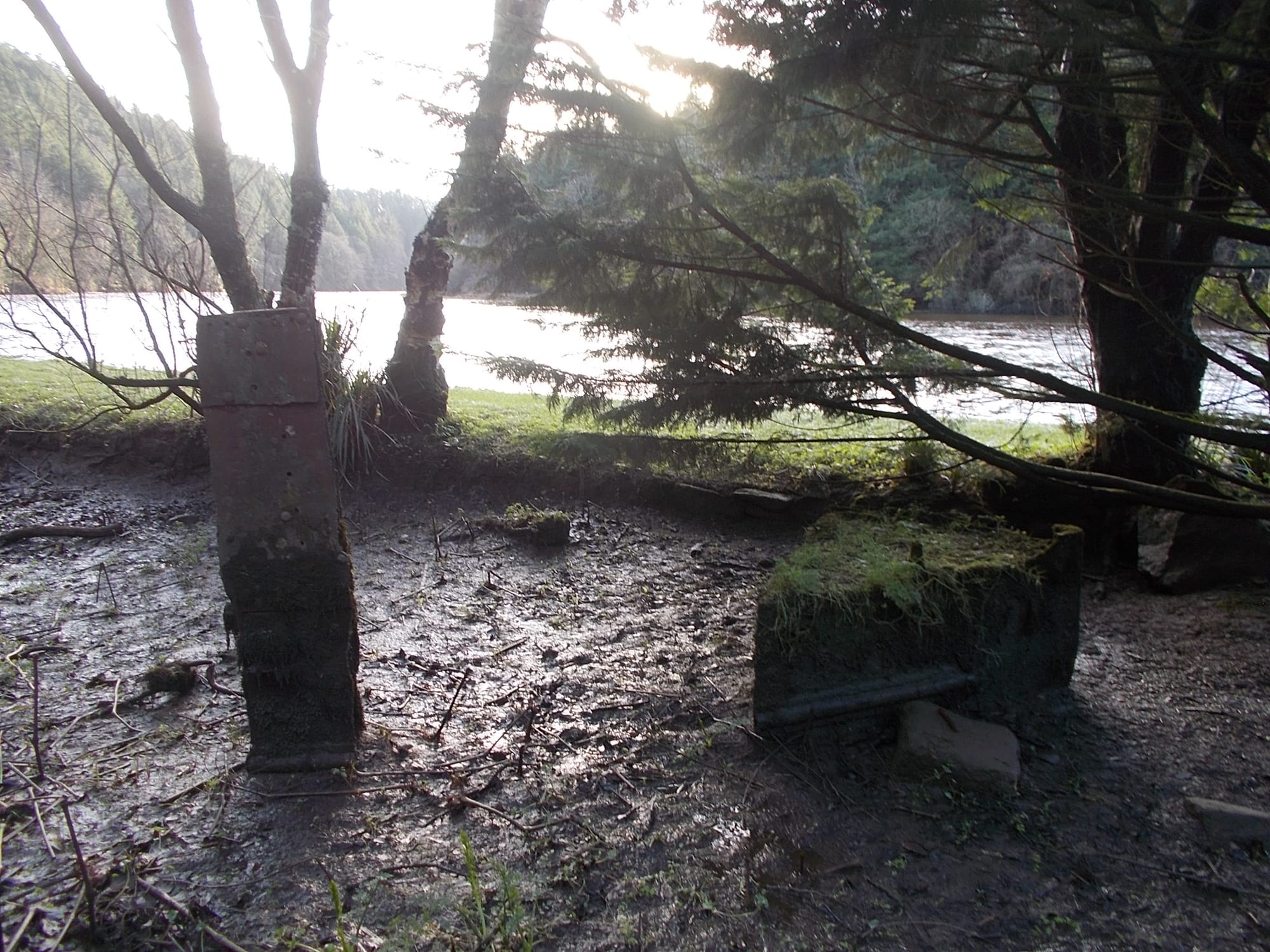 2016 05 11th River Barrow Saint Mullins buried barge bow