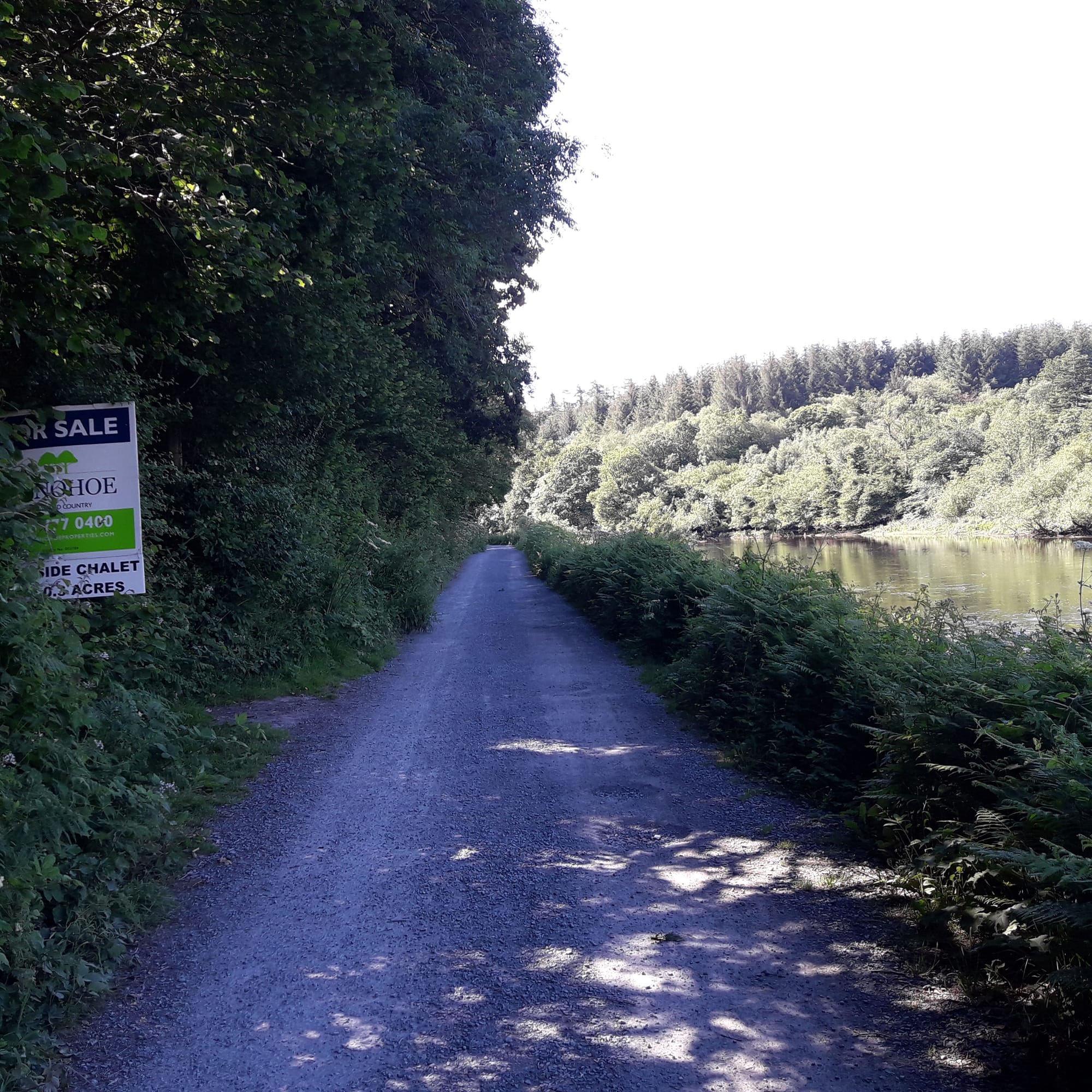 2019 06 30th River Barrow Saint Mullins former Odlums summer chalet for sale