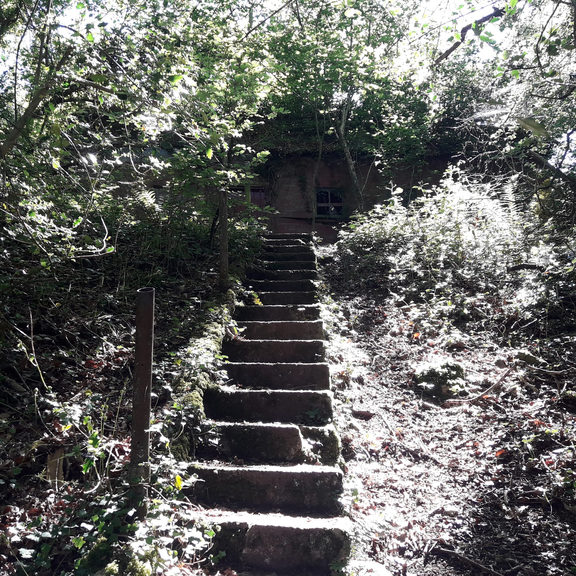 2019 06 30th River Barrow, Saint Mullins, steps up to former Odlums summer chalet