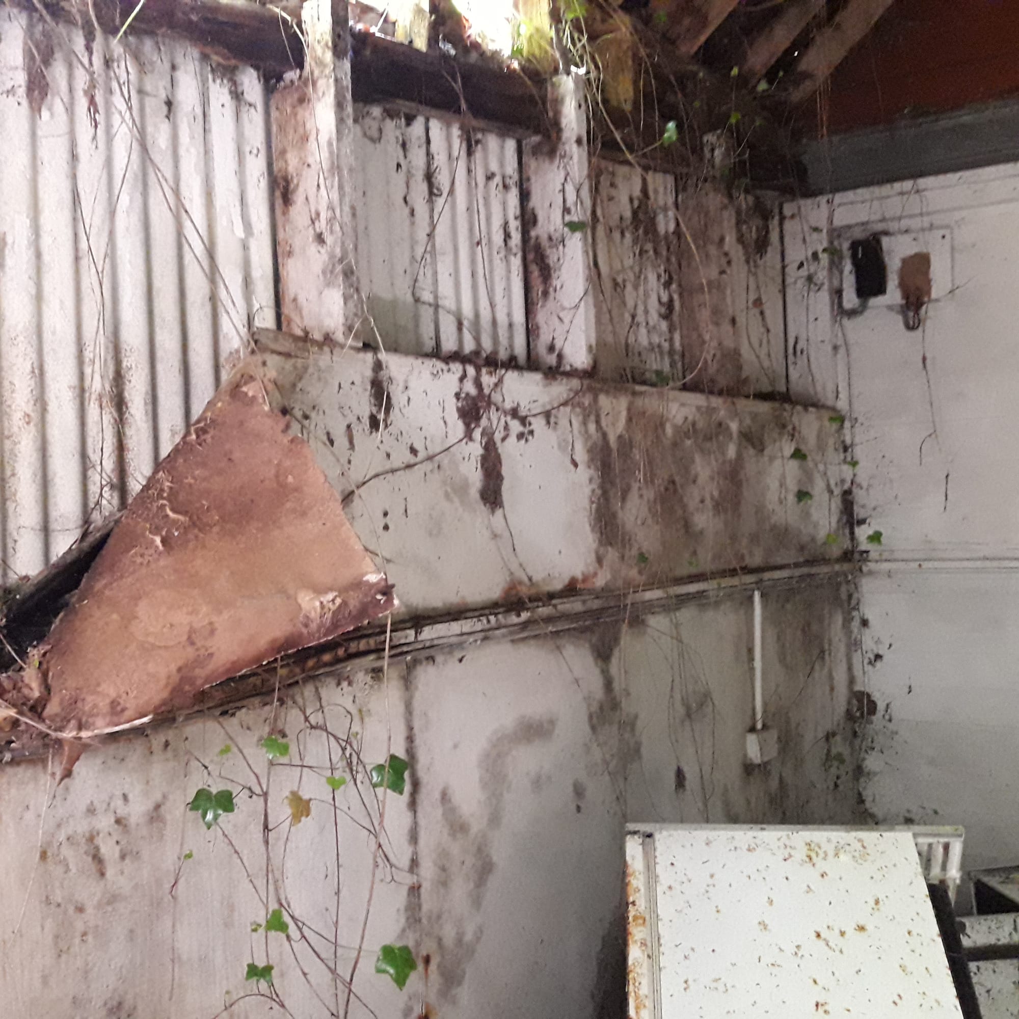 2019 06 30th River Barrow, Saint Mullins, former Odlums summer chalet for sale