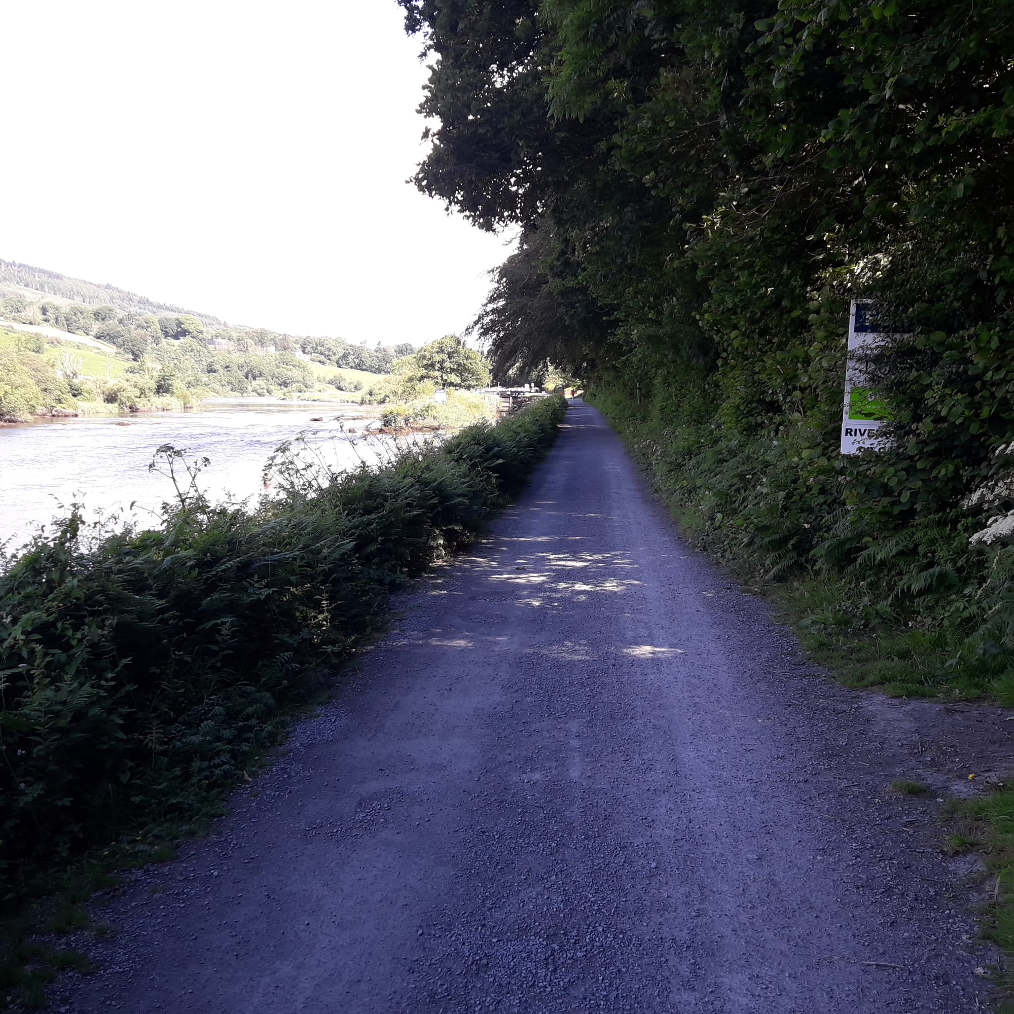 2019 06 30th River Barrow, Saint Mullins, former Odlums summer chalet for sale