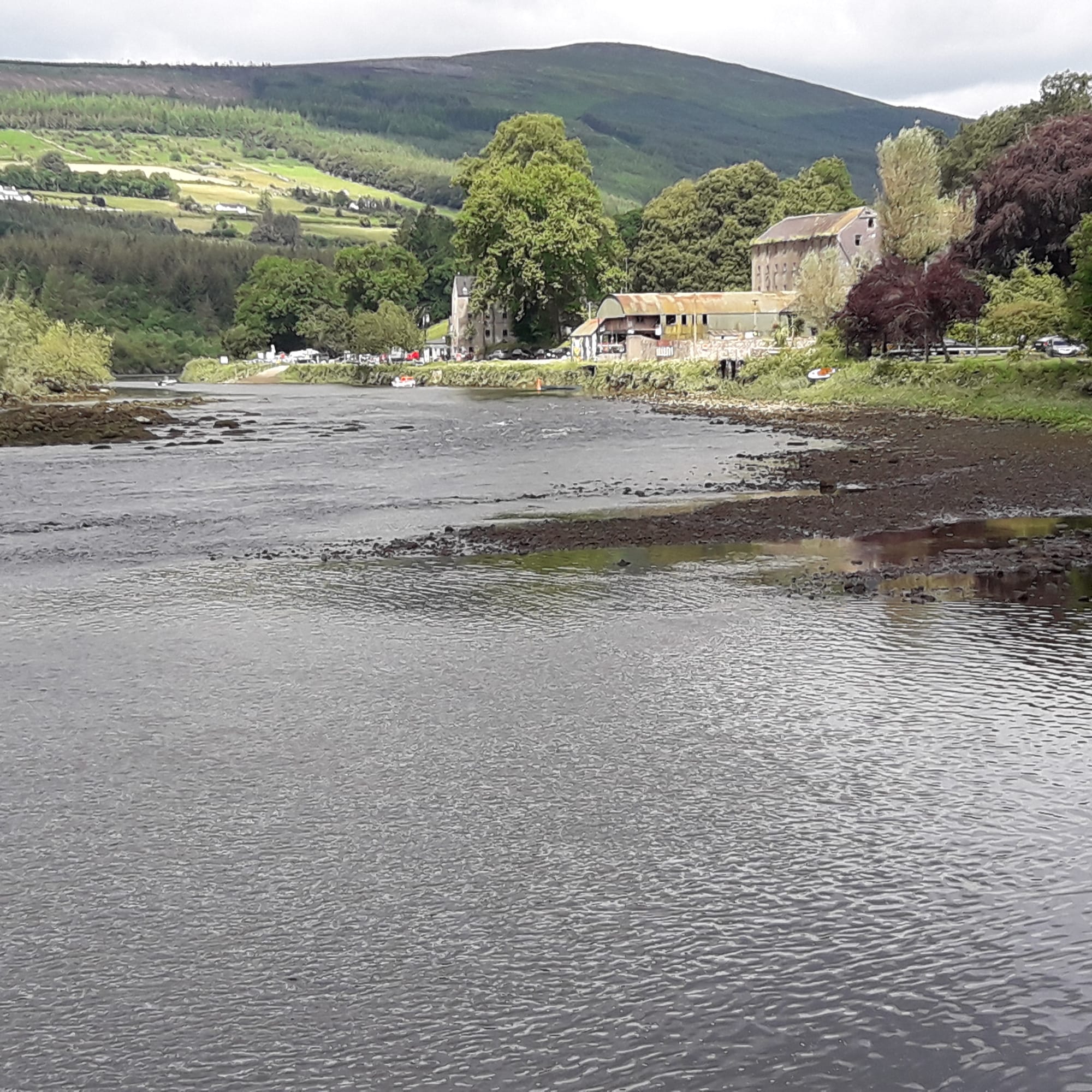 2019 06 30th River Barrow Saint Mullins, The Scar at low tide