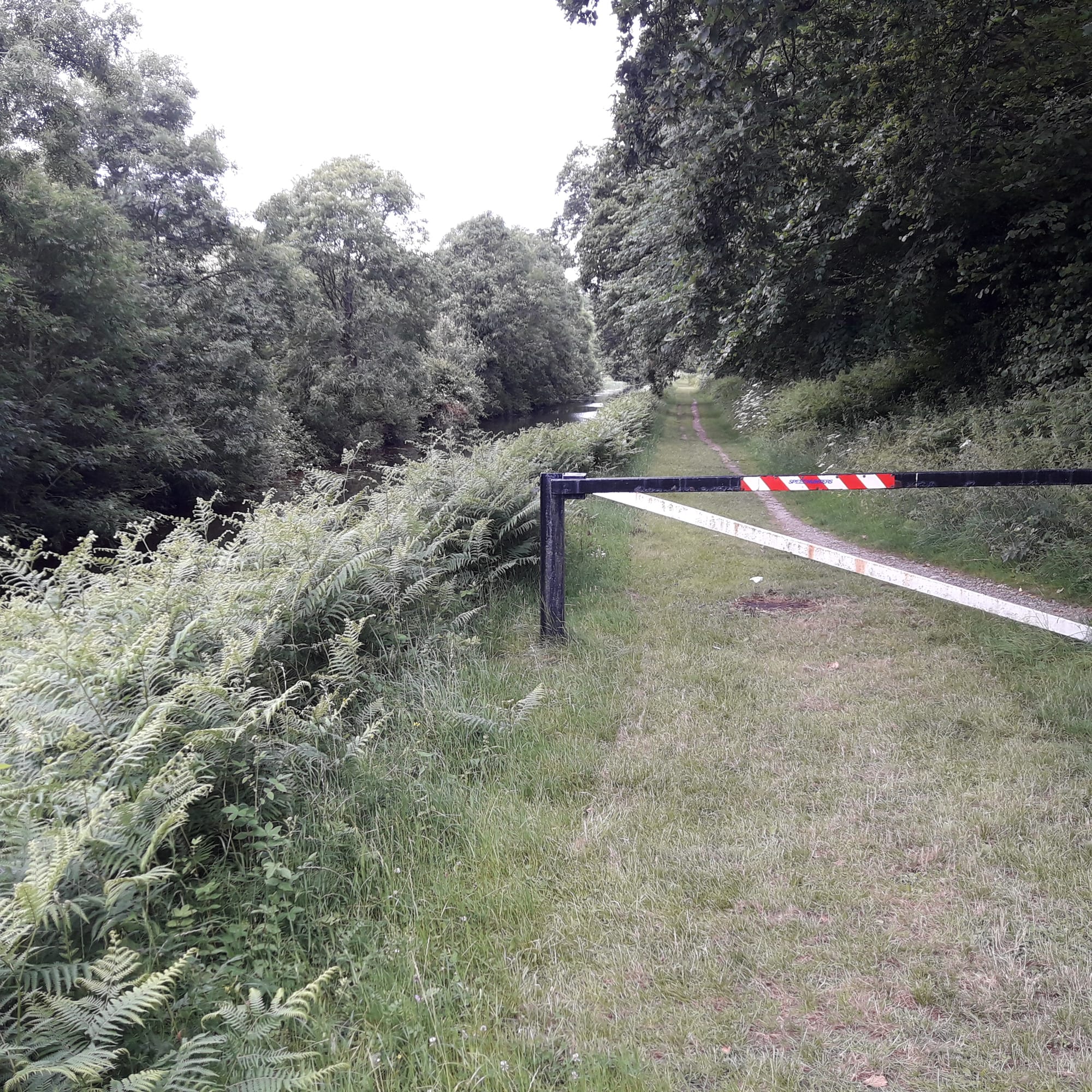2019 06 30th River Barrow Saint Mullins, towpath north to Graiguenamanagh