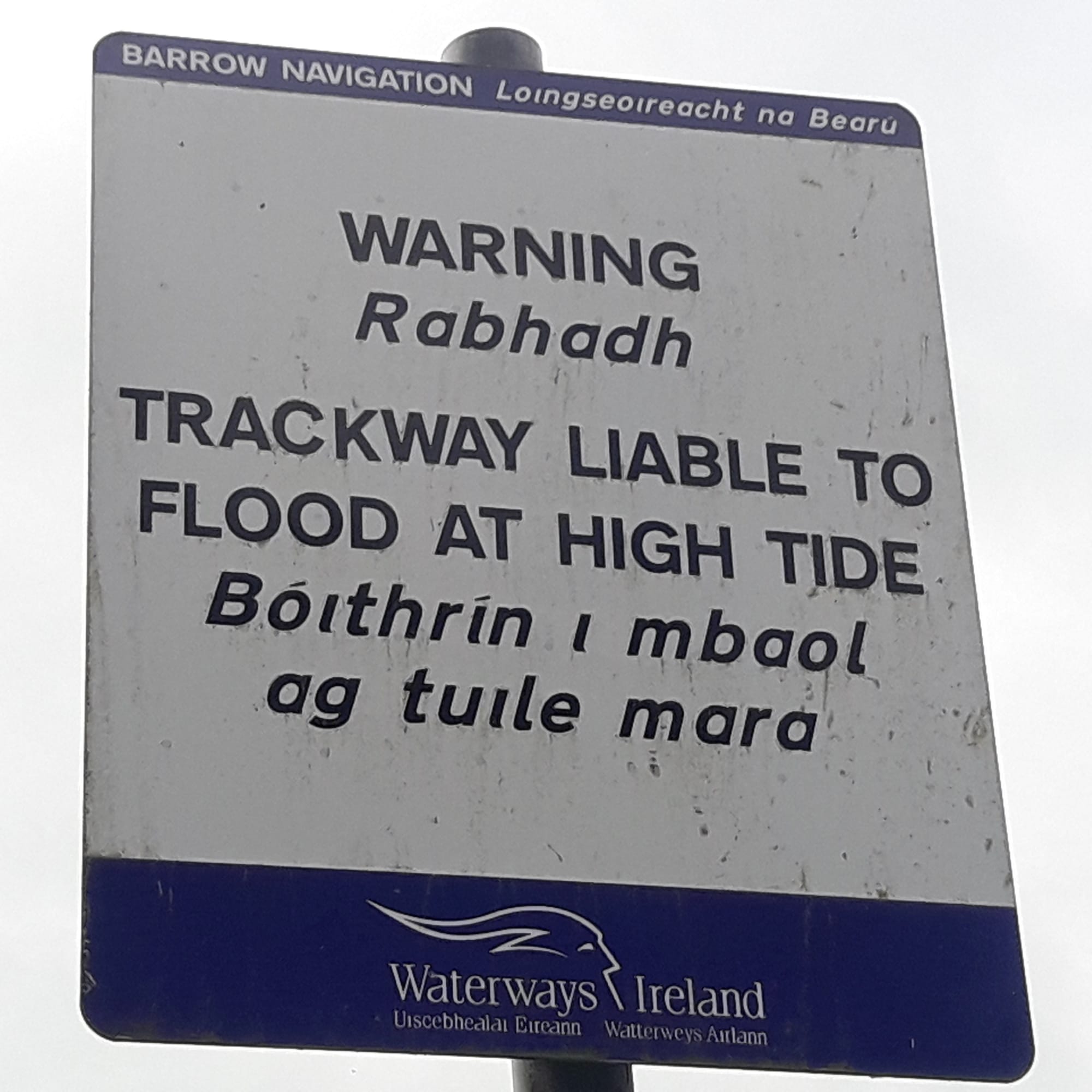 2019 06 30th River Barrow Saint Mullins_26 the Towpath has become the Trackway