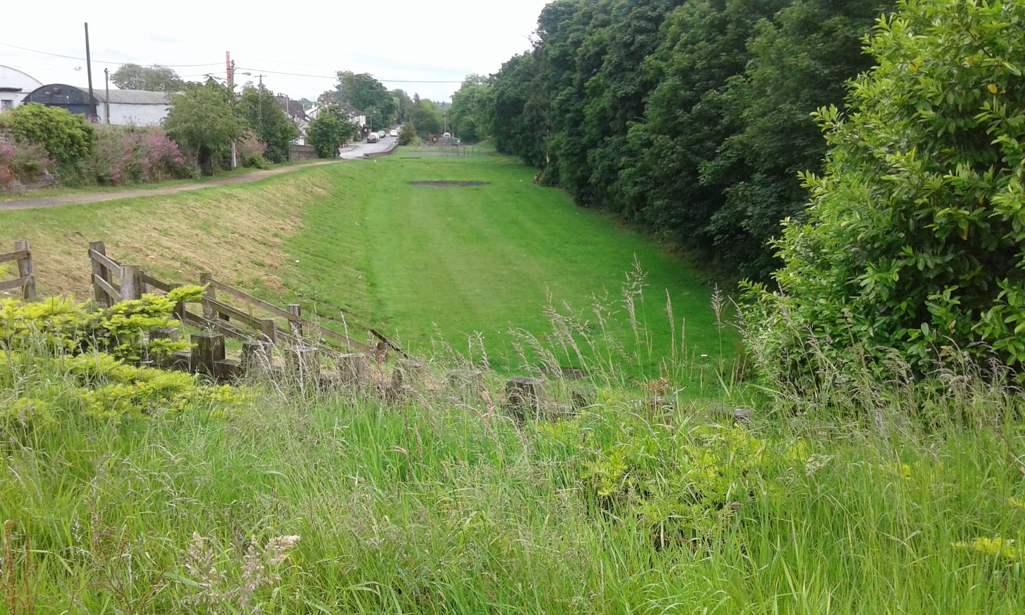 2017 06 05th River Shannon Athlone Canal, infilled