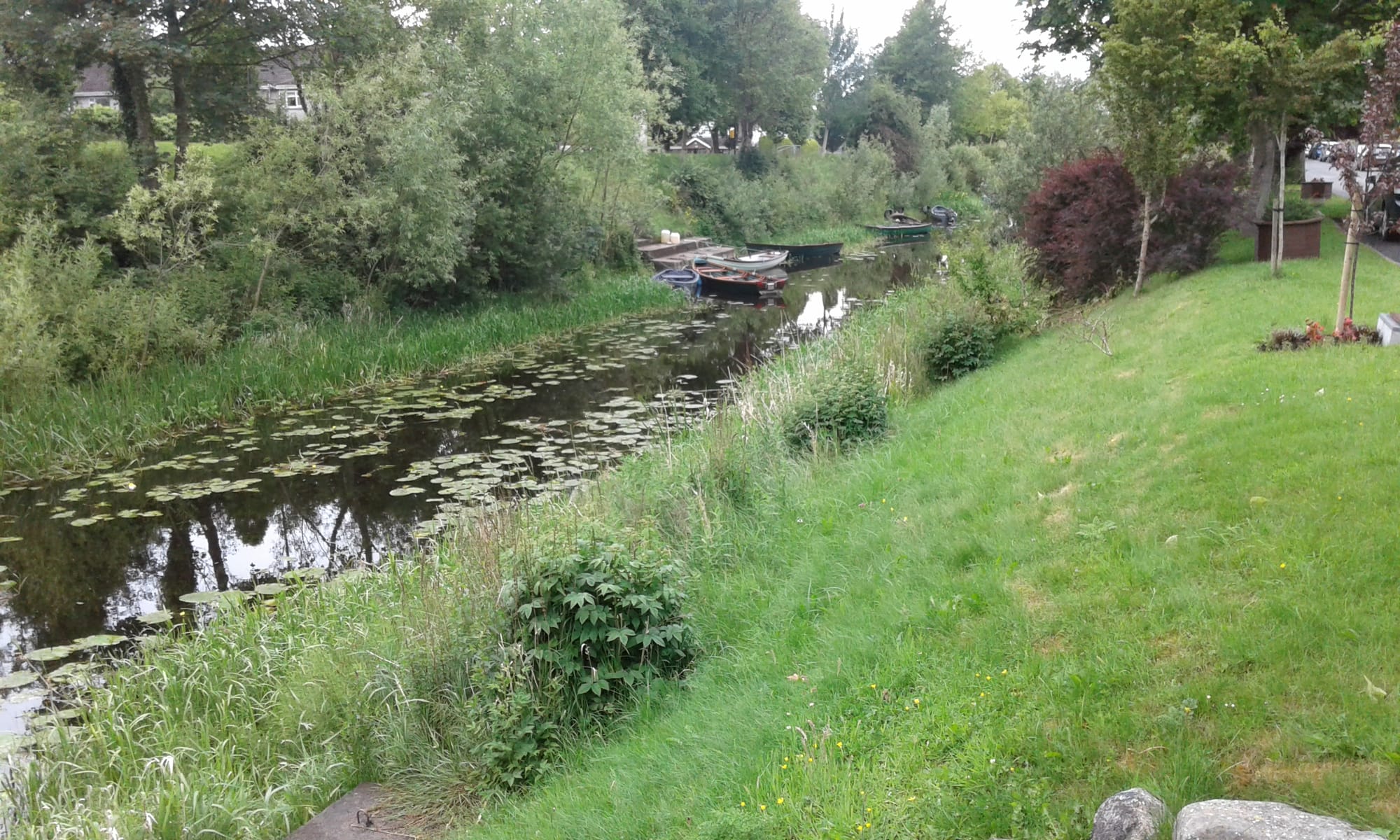 2026 02 22nd River Shannon Athlone Canal