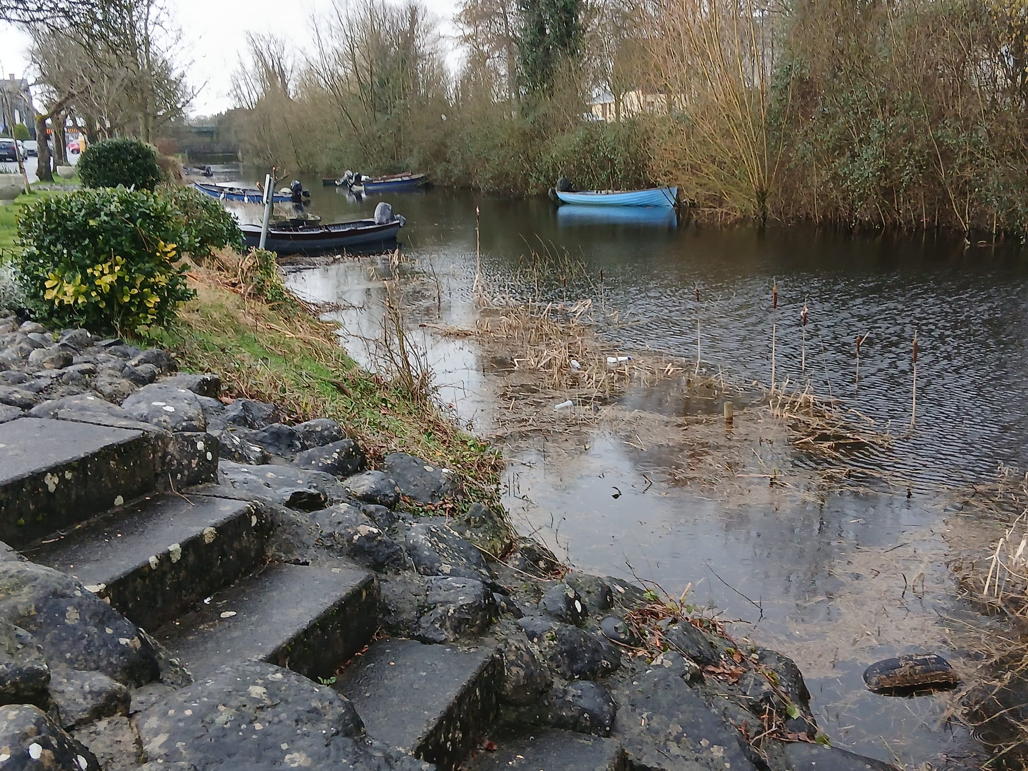 2026 02 22nd River Shannon Athlone Canal_