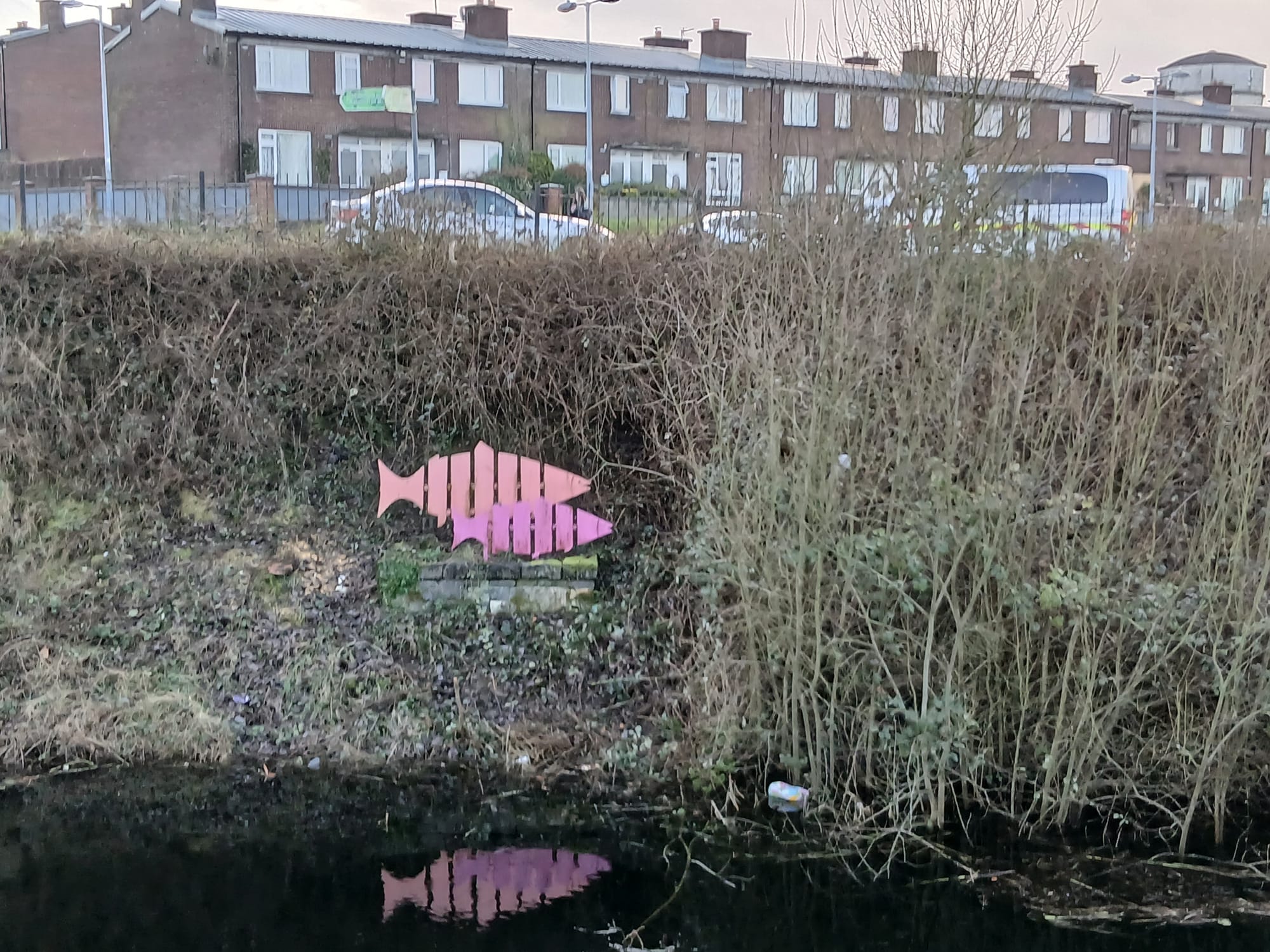 2026 02 22nd River Shannon Athlone Canal