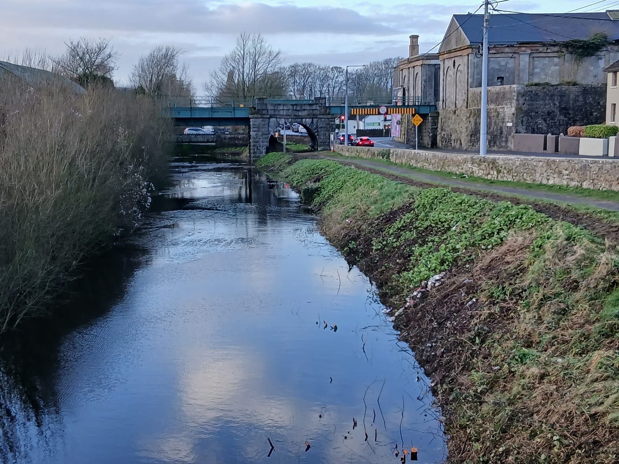2017 06 05th River Shannon Athlone Canal