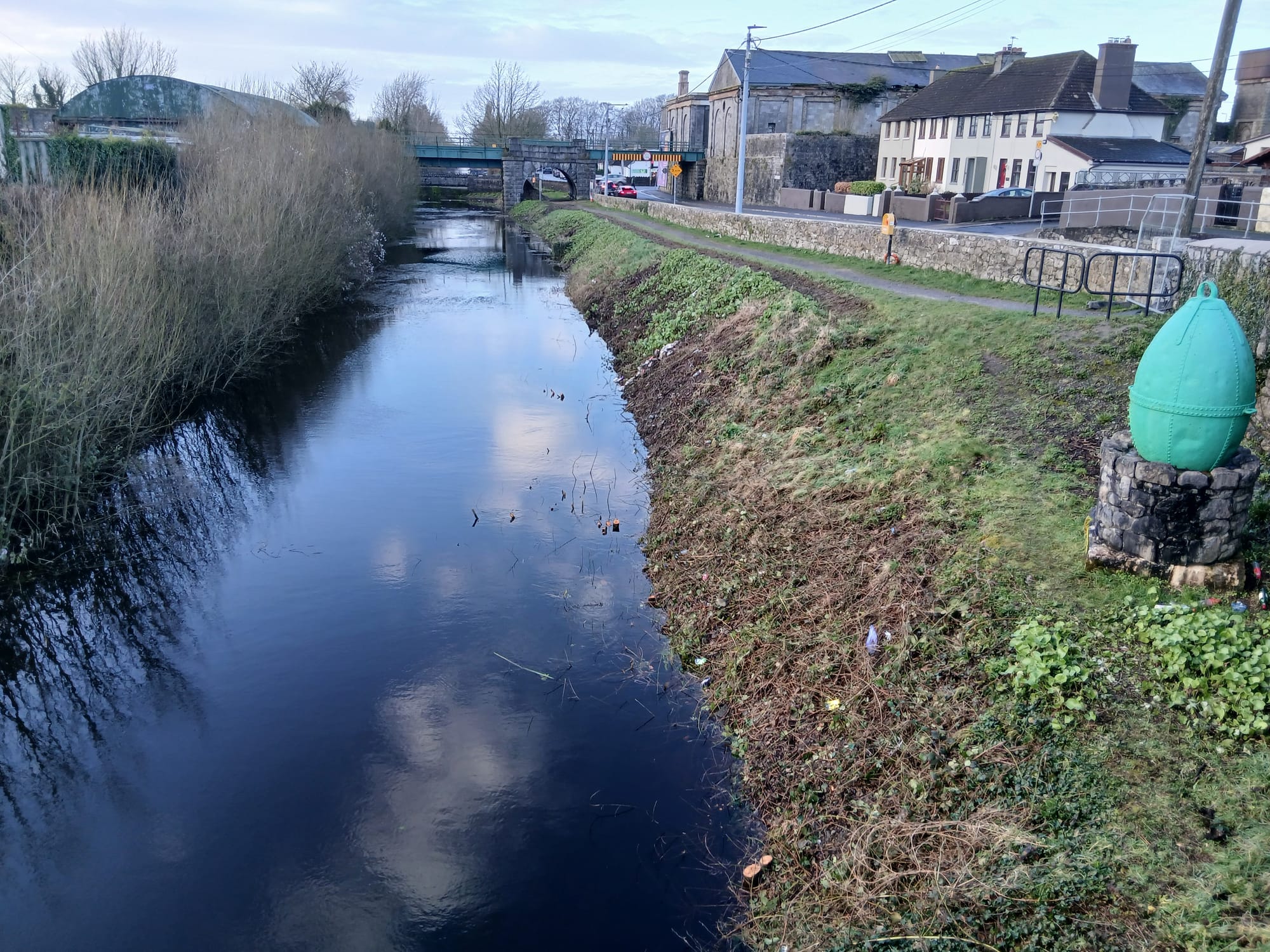 2026 02 22nd River Shannon Athlone Canal