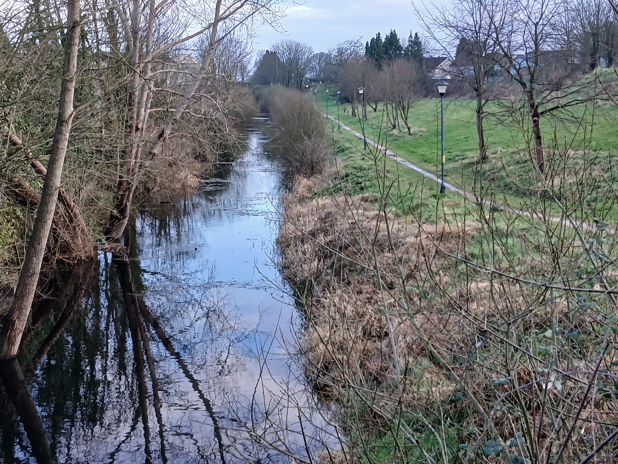 2026 02 22nd River Shannon Athlone Canal