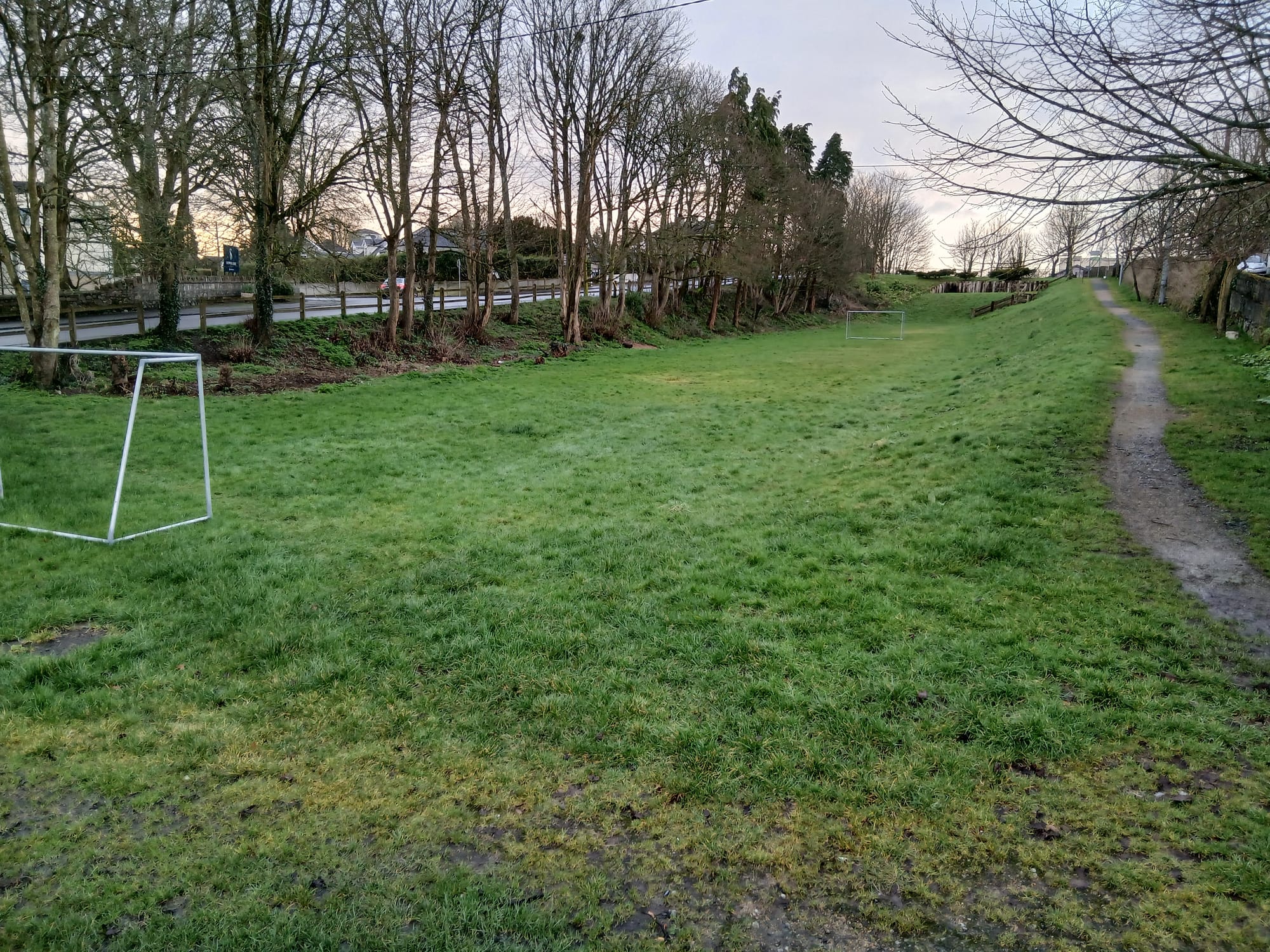 2026 02 22nd River Shannon Athlone Canal_ parkland in canal bed