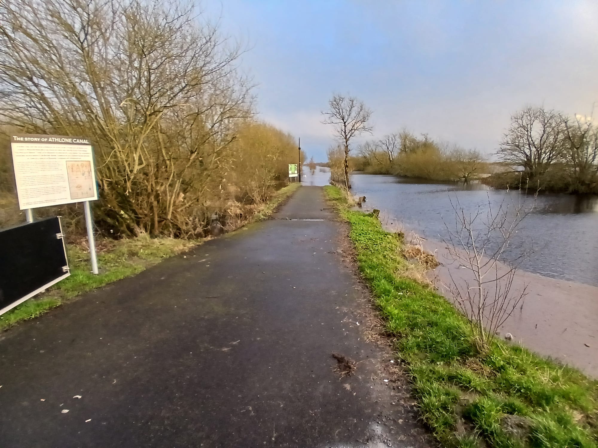 2026 02 22nd River Shannon Athlone Canal, southern end callows