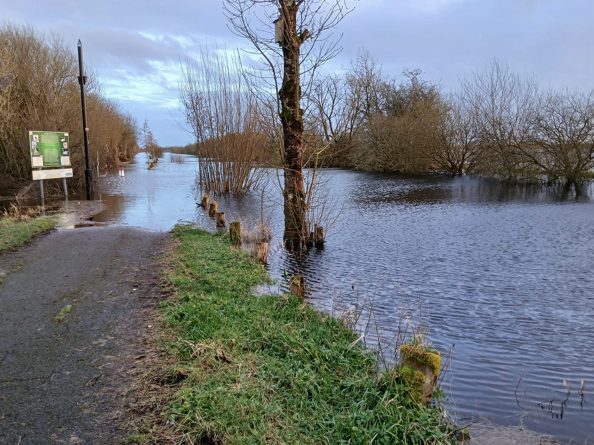 2026 02 22nd River Shannon Athlone Canal_ southern end callows flooded
