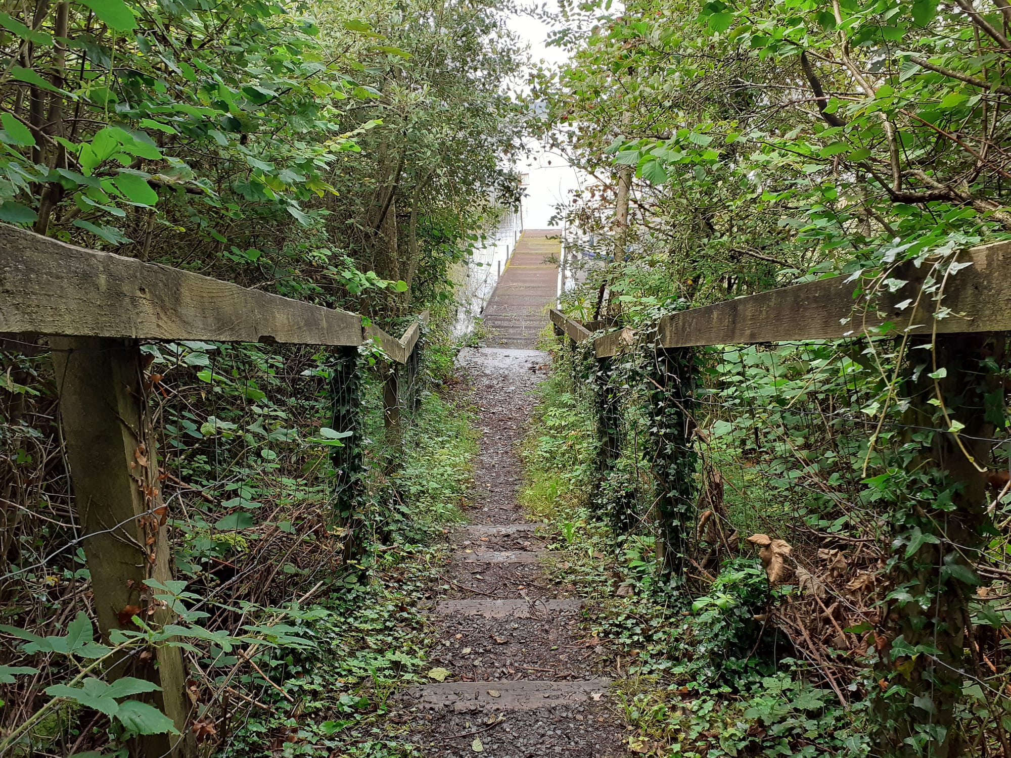 2019 09 02nd River Shannon Coosan, IWAI installed jetty