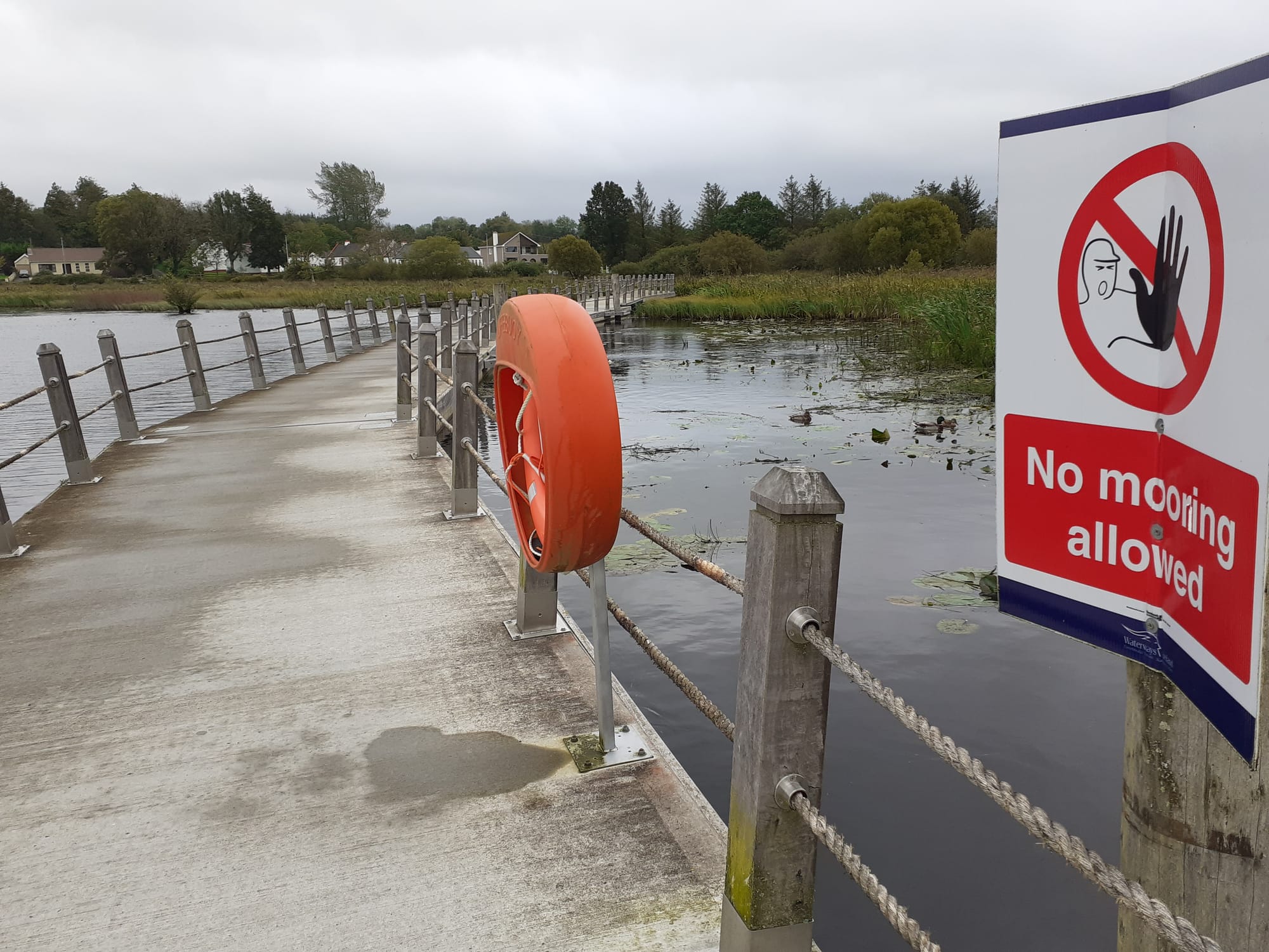 2020 09 13th River Shannon, Drumshanbo, Acres Lake cycleway
