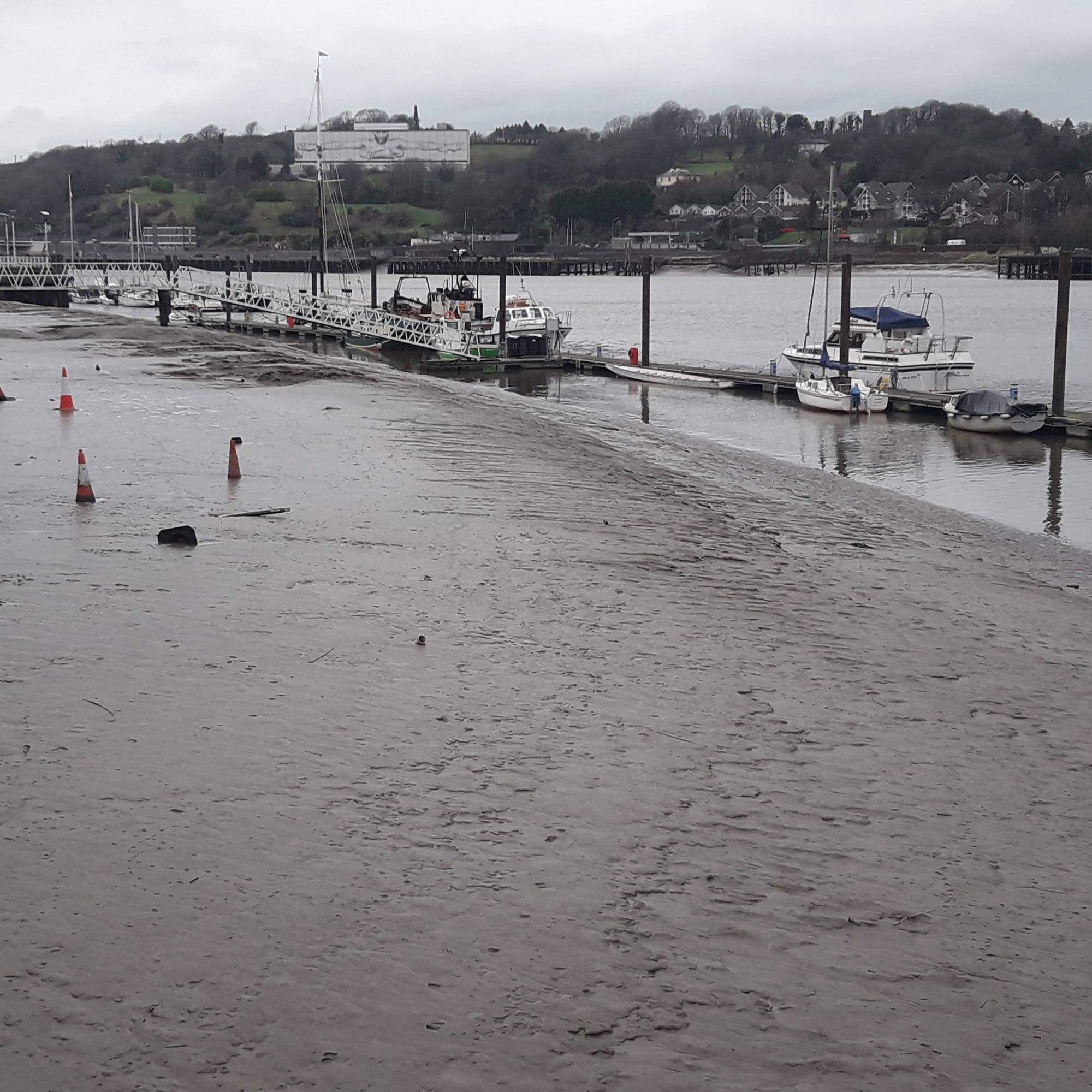 2019 01 21st River Suir Waterford  shallow waters