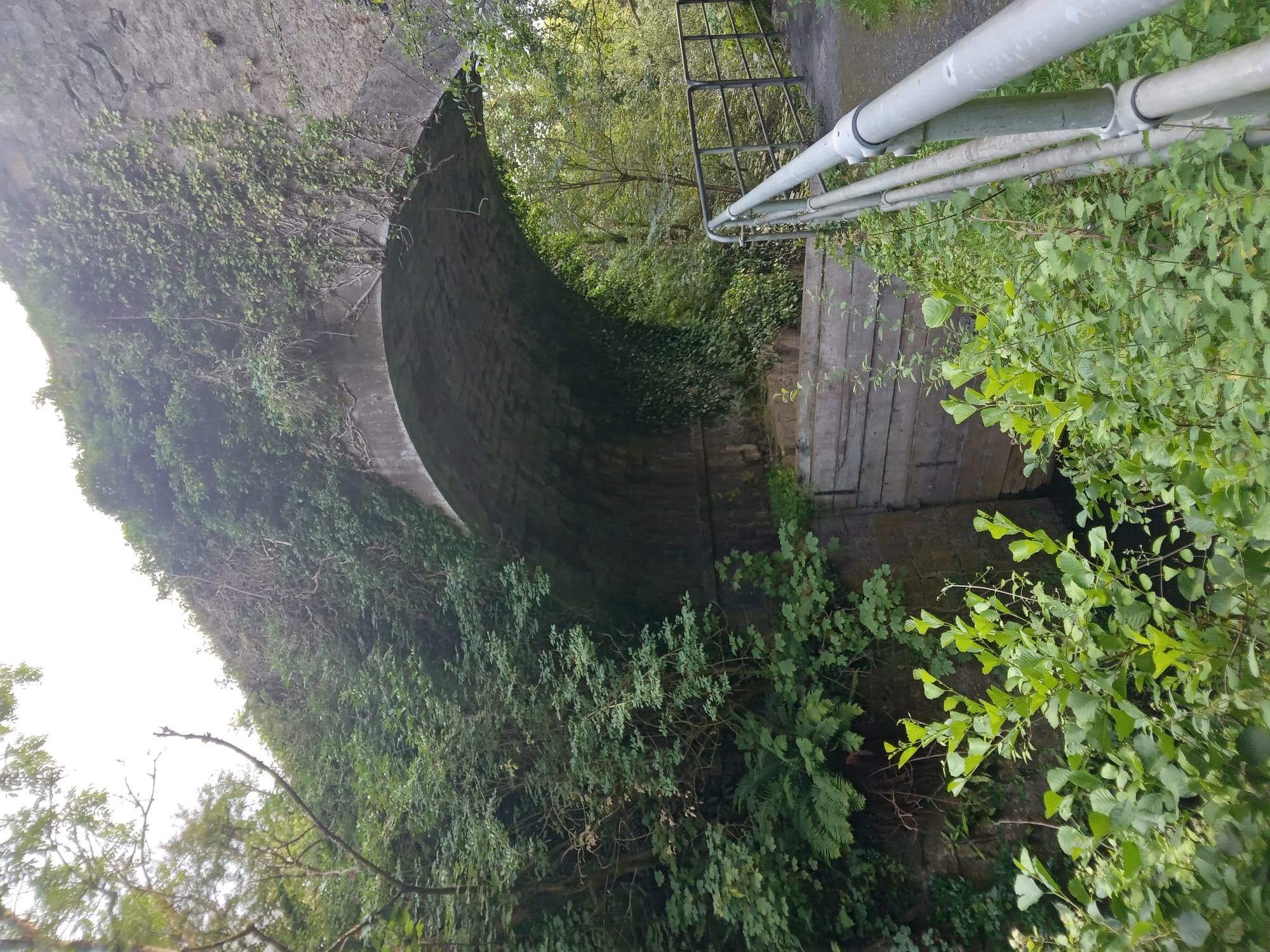 2025 08 06th River Shannon Ardnacrusha Old Shannon Errina Canal