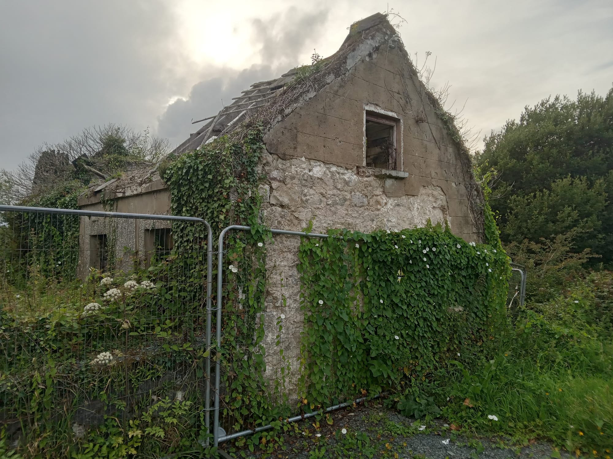 2025 08 06th River Shannon Ardnacrusha Old Shannon Errina Canal, lock keepers cottage