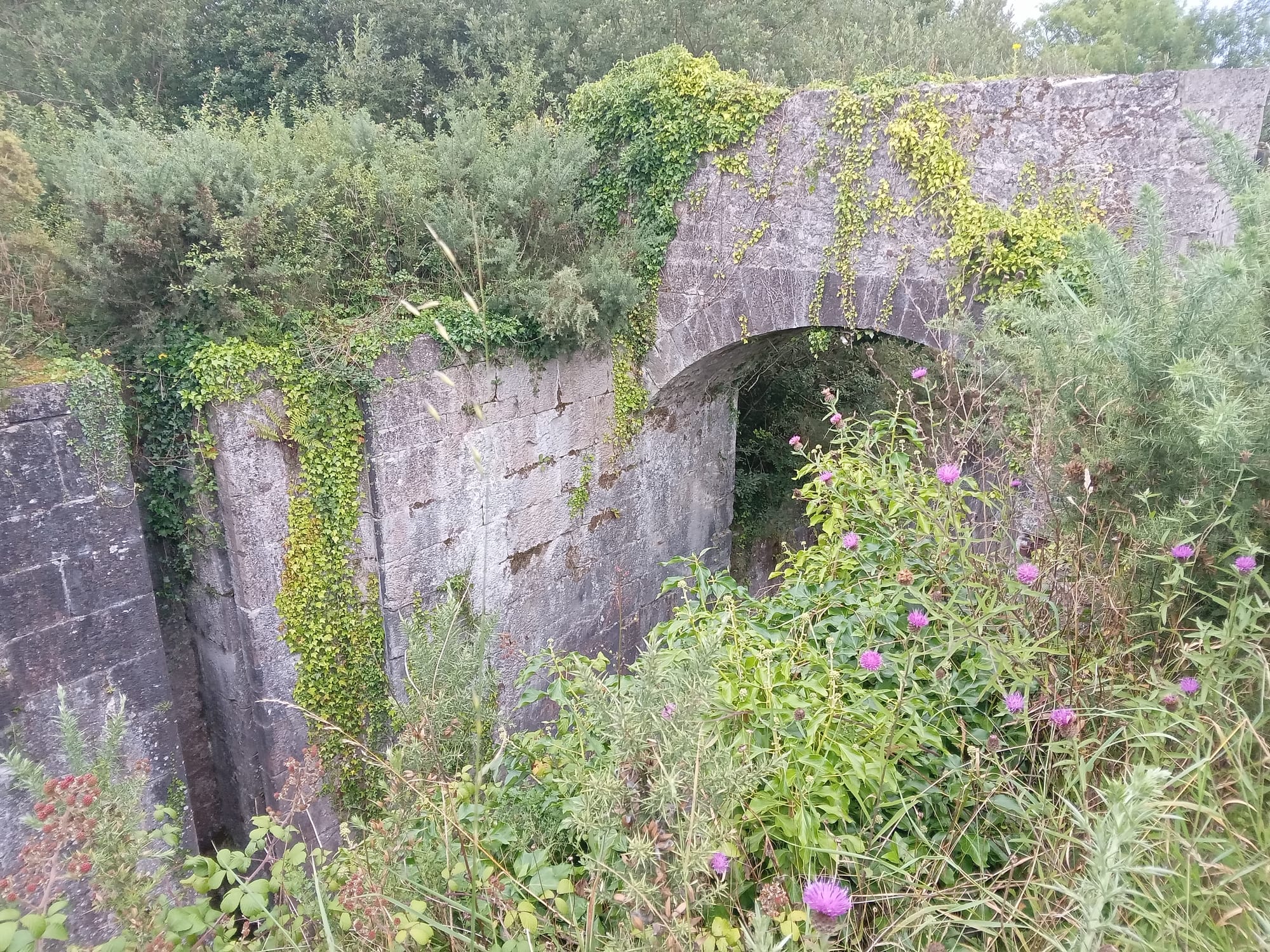 2025 08 06th River Shannon Ardnacrusha Old Shannon Errina Canal, lock and bridge
