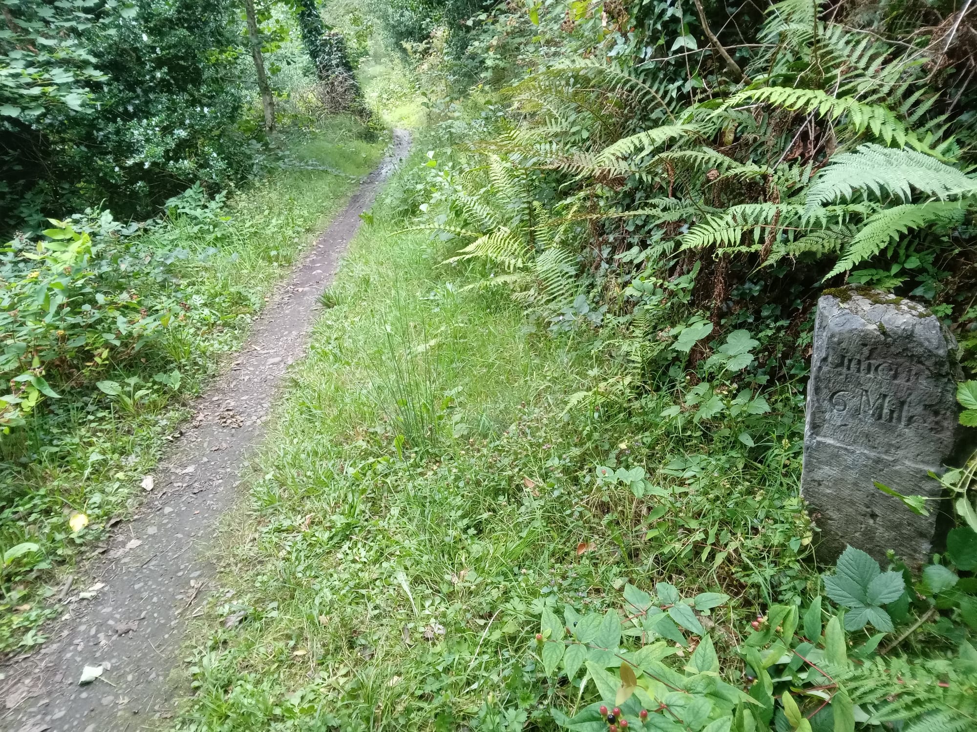 2025 08 06th River Shannon Ardnacrusha Old Shannon Errina Canal, milestone