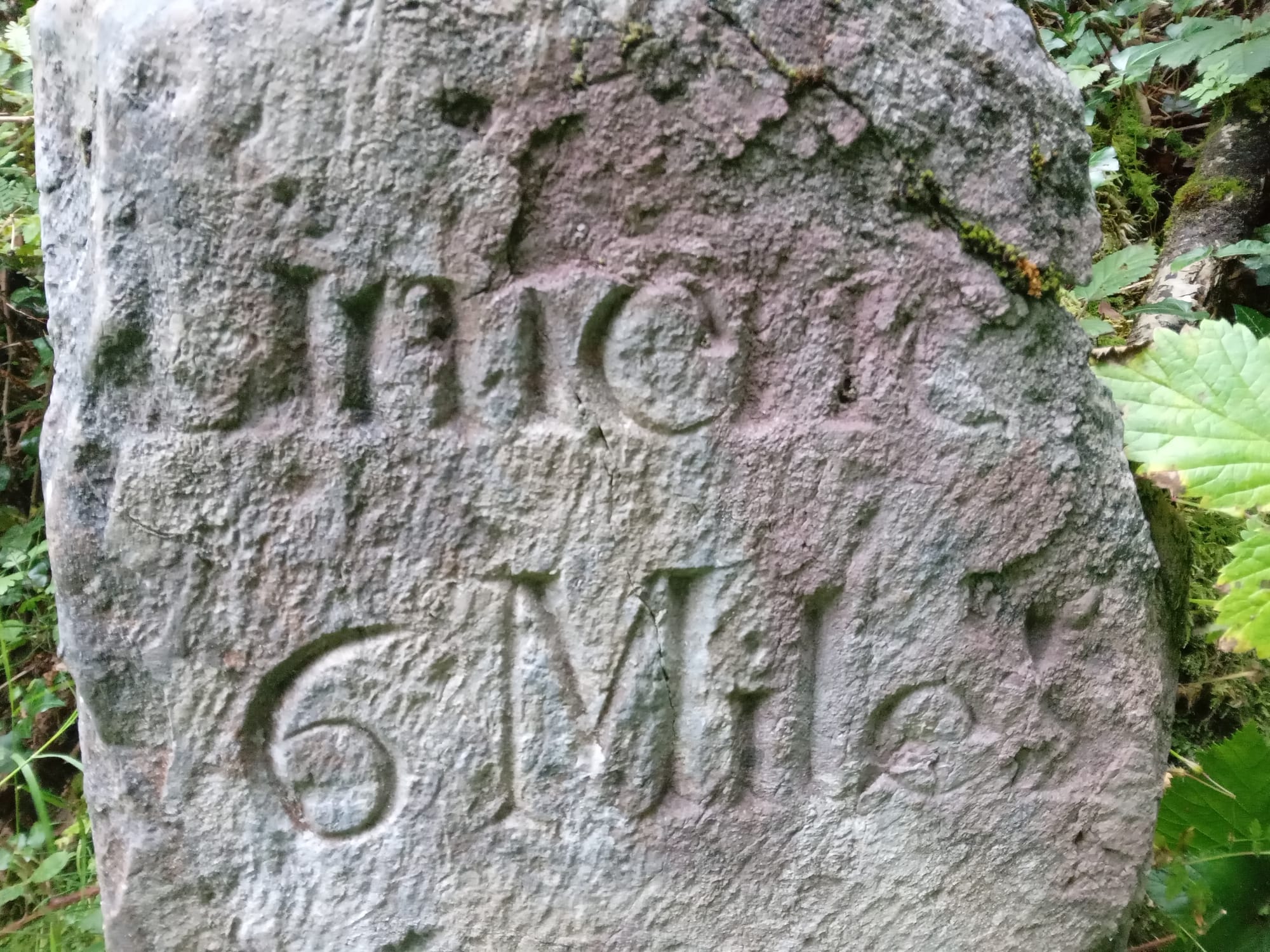 2025 08 06th River Shannon Ardnacrusha Old Shannon Errina Canal, milestone