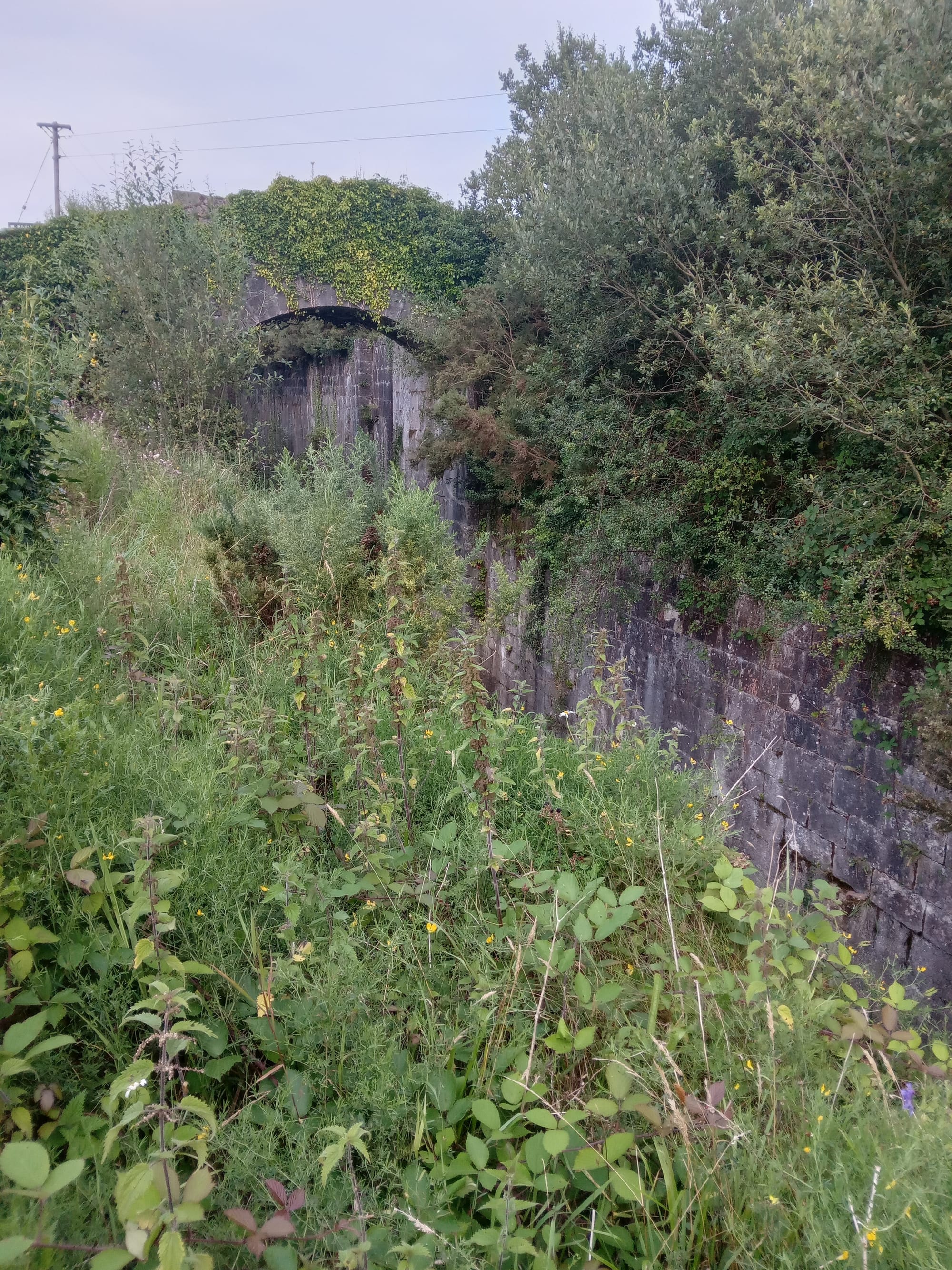 2025 08 06th River Shannon Ardnacrusha Old Shannon Errina Canal