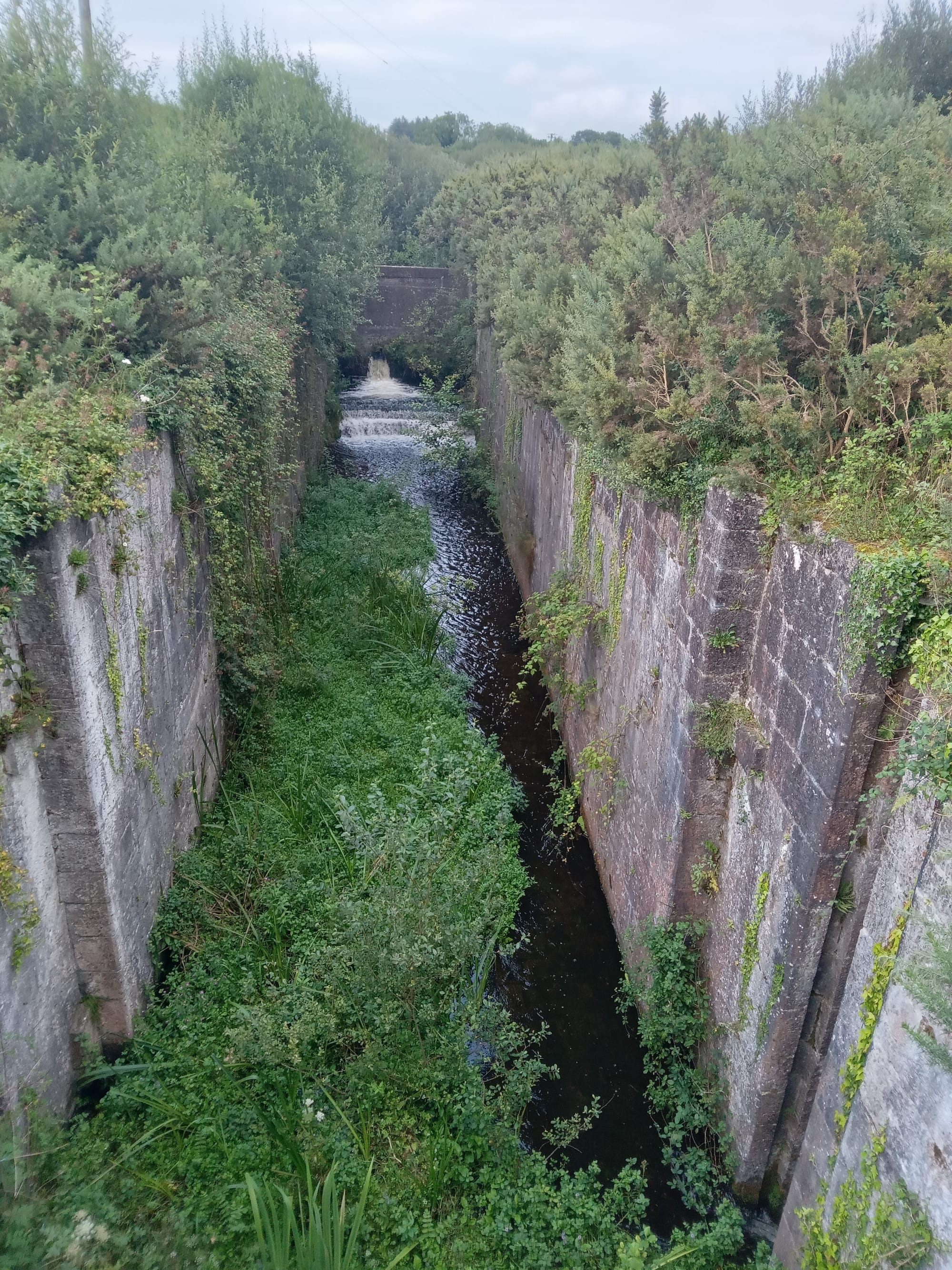 2025 08 06th River Shannon Ardnacrusha Old Shannon Errina Canal, lock