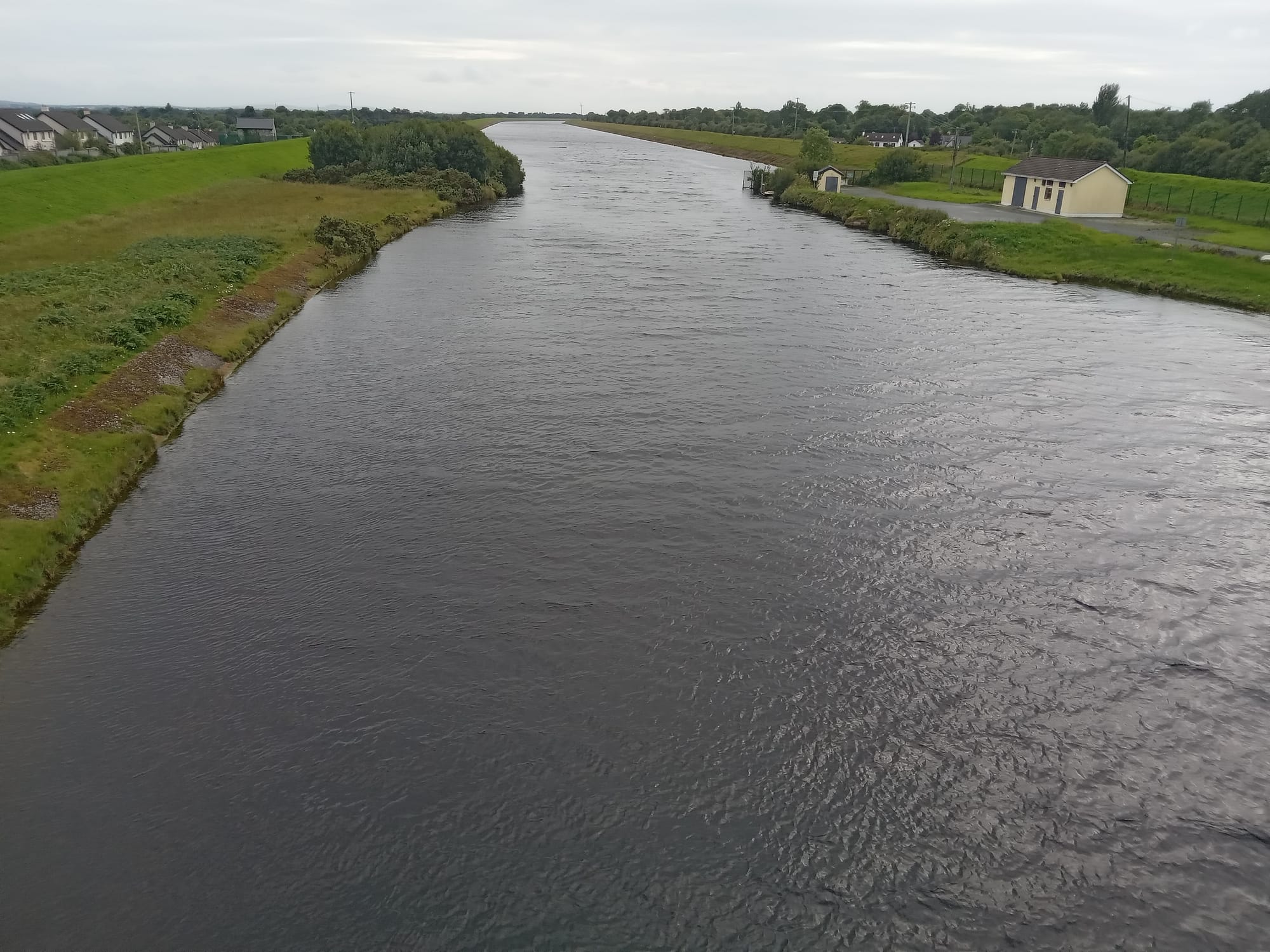 2025 08 06th River Shannon Ardnacrusha, from O Briens Bridge