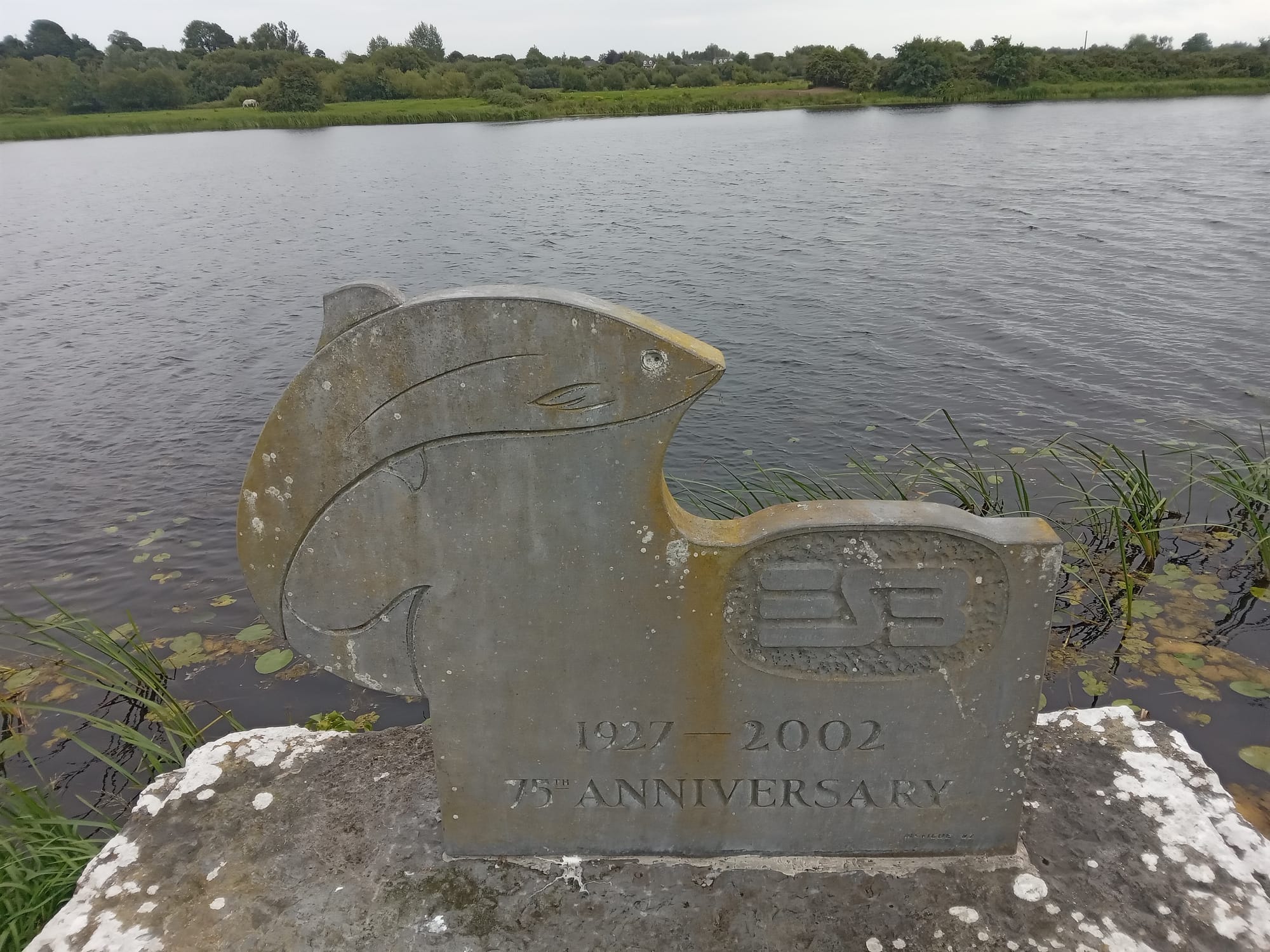 2025 08 06th River Shannon Ardnacrusha, O Briens Bridge, old River Shannon