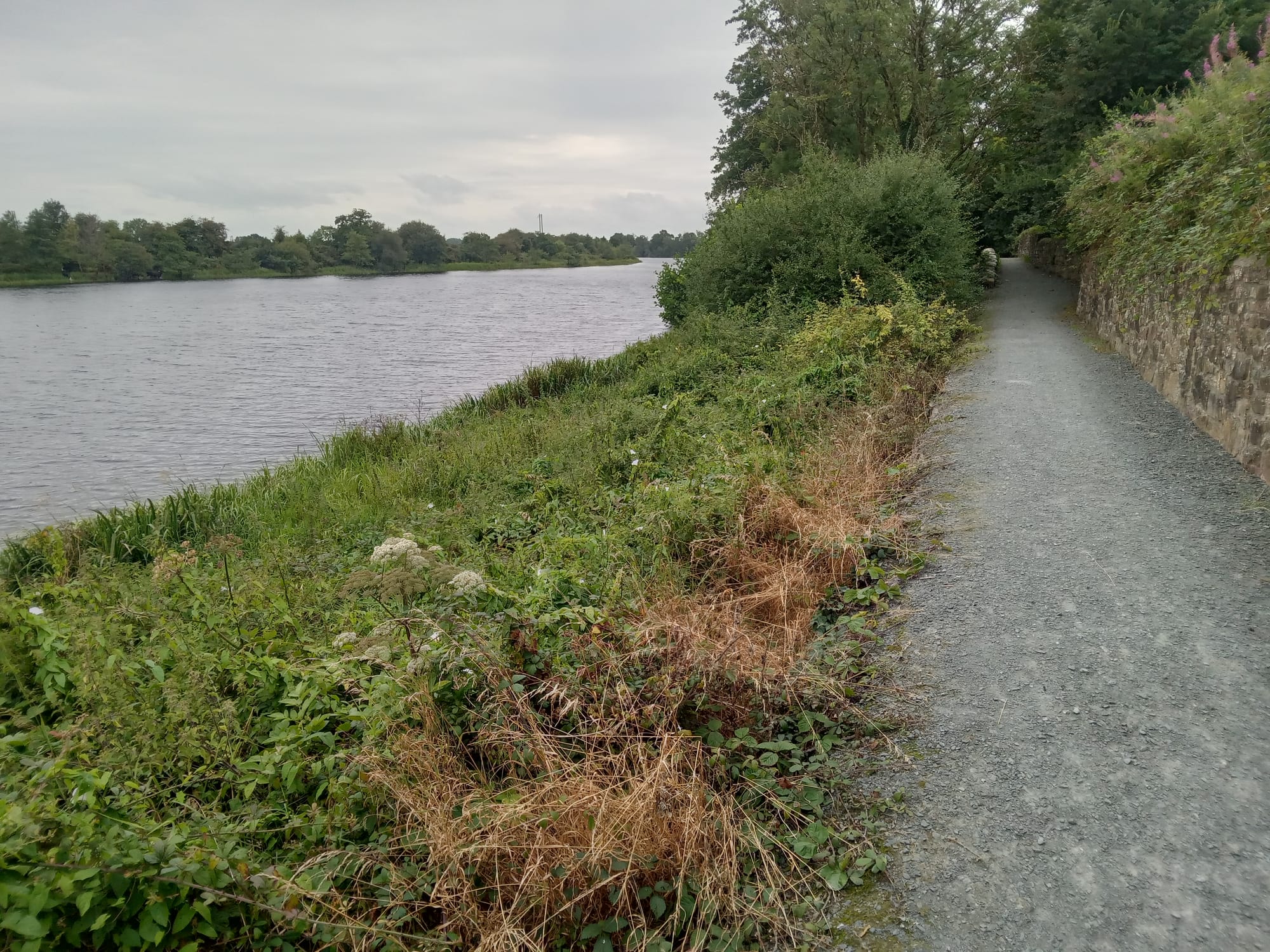 2025 08 06th River Shannon Ardnacrusha, O Briens Bridge, old River Shannon