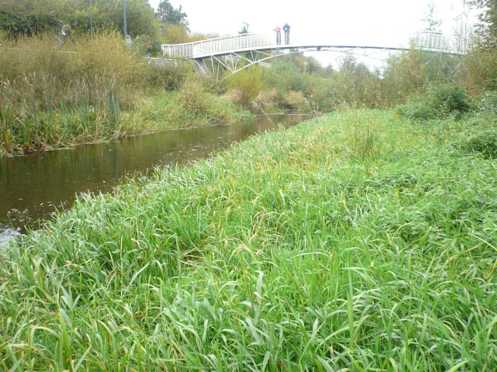 2016 10 River Shannon Limerick Canal east end
