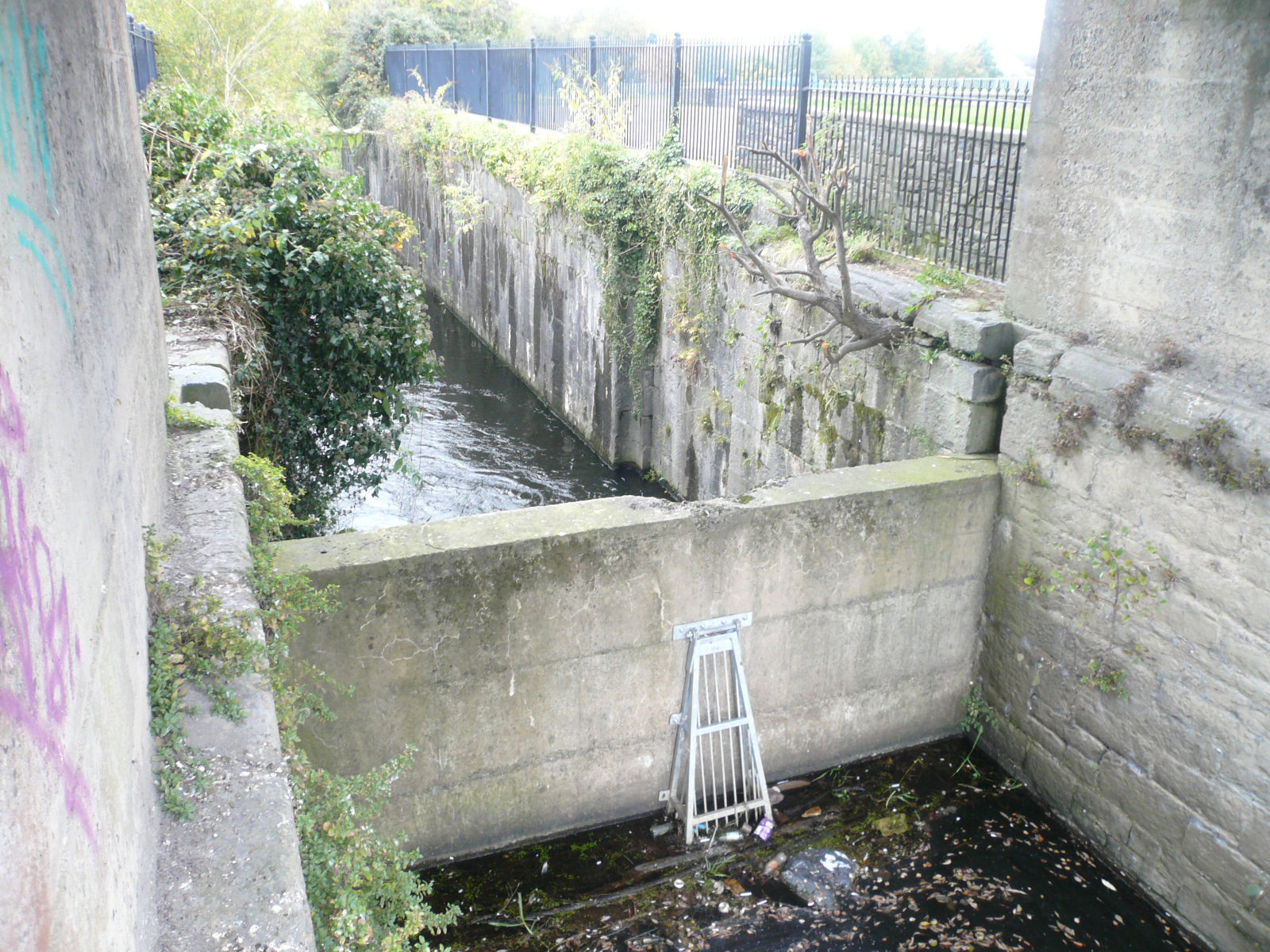 2025 08 07th River Shannon Limerick, Limerick Canal, lock abandoned
