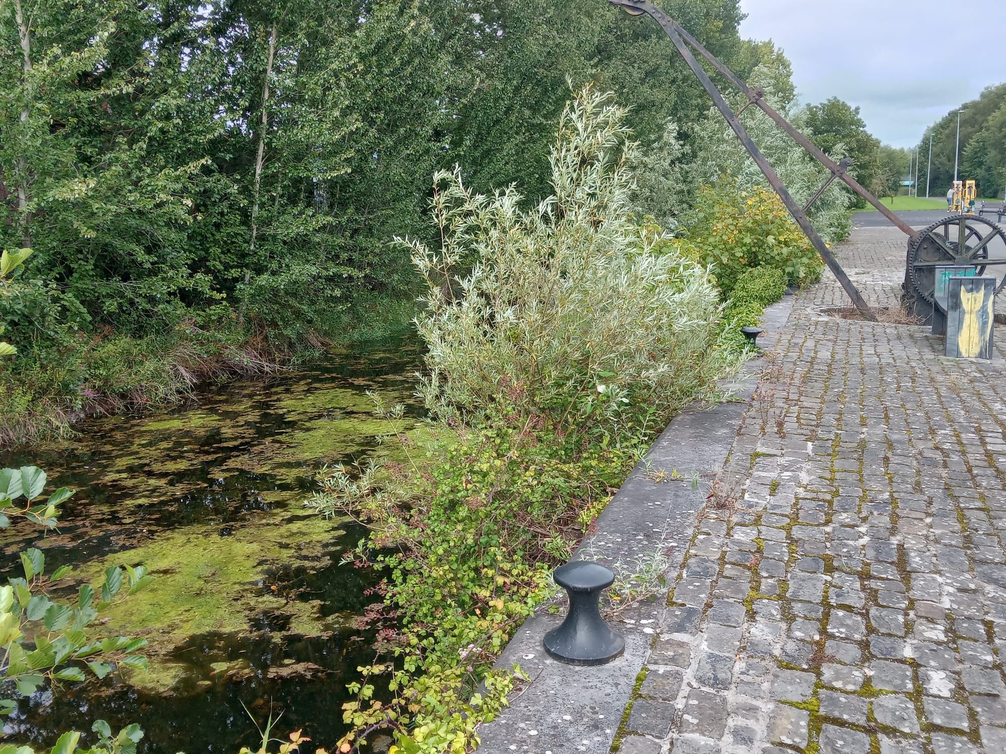 2025 08 07th River Shannon Limerick, Limerick Canal, west end loading jetty and crane