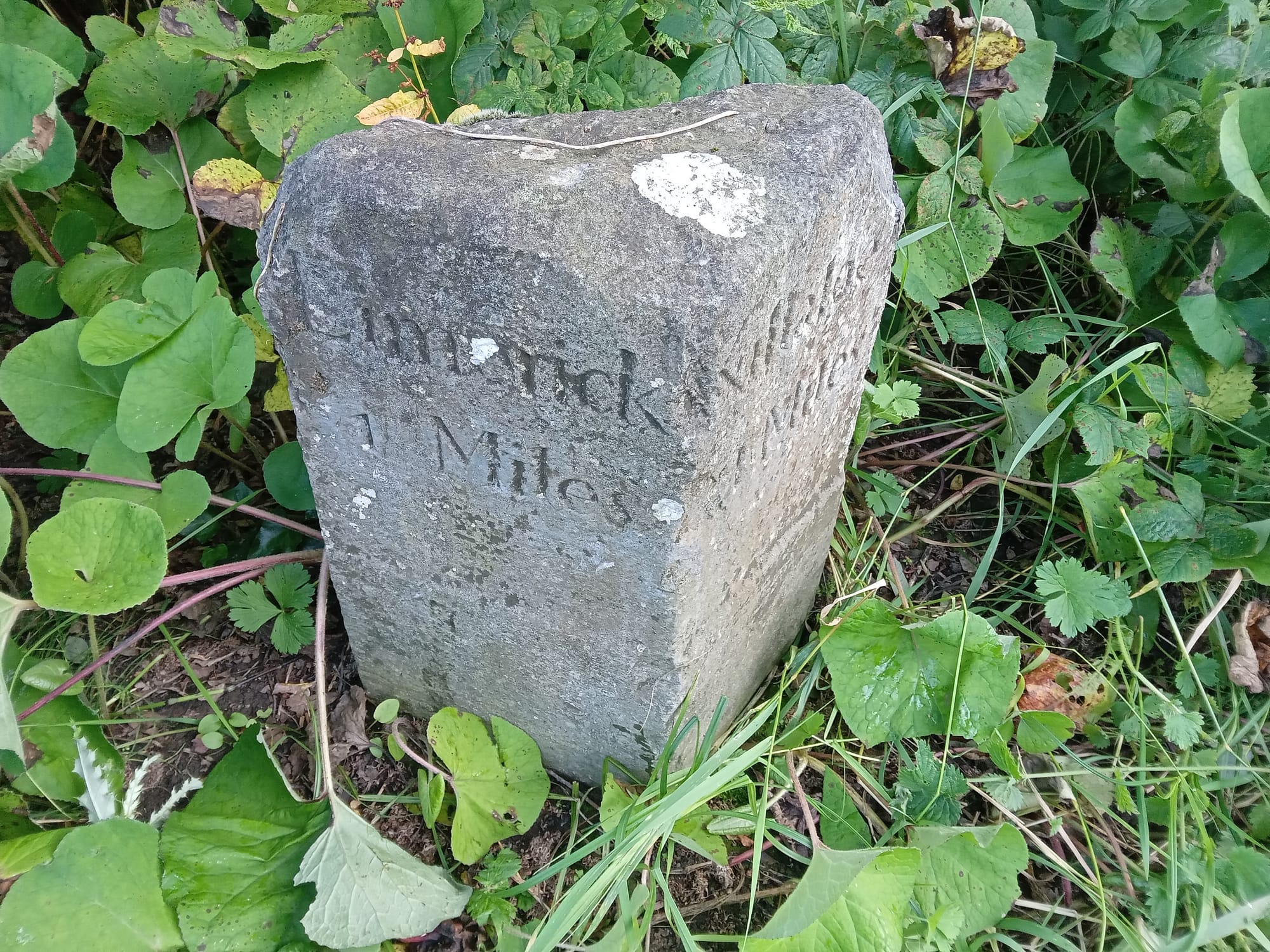 2025 08 07th River Shannon Limerick, Limerick Canal, original mile marker stone